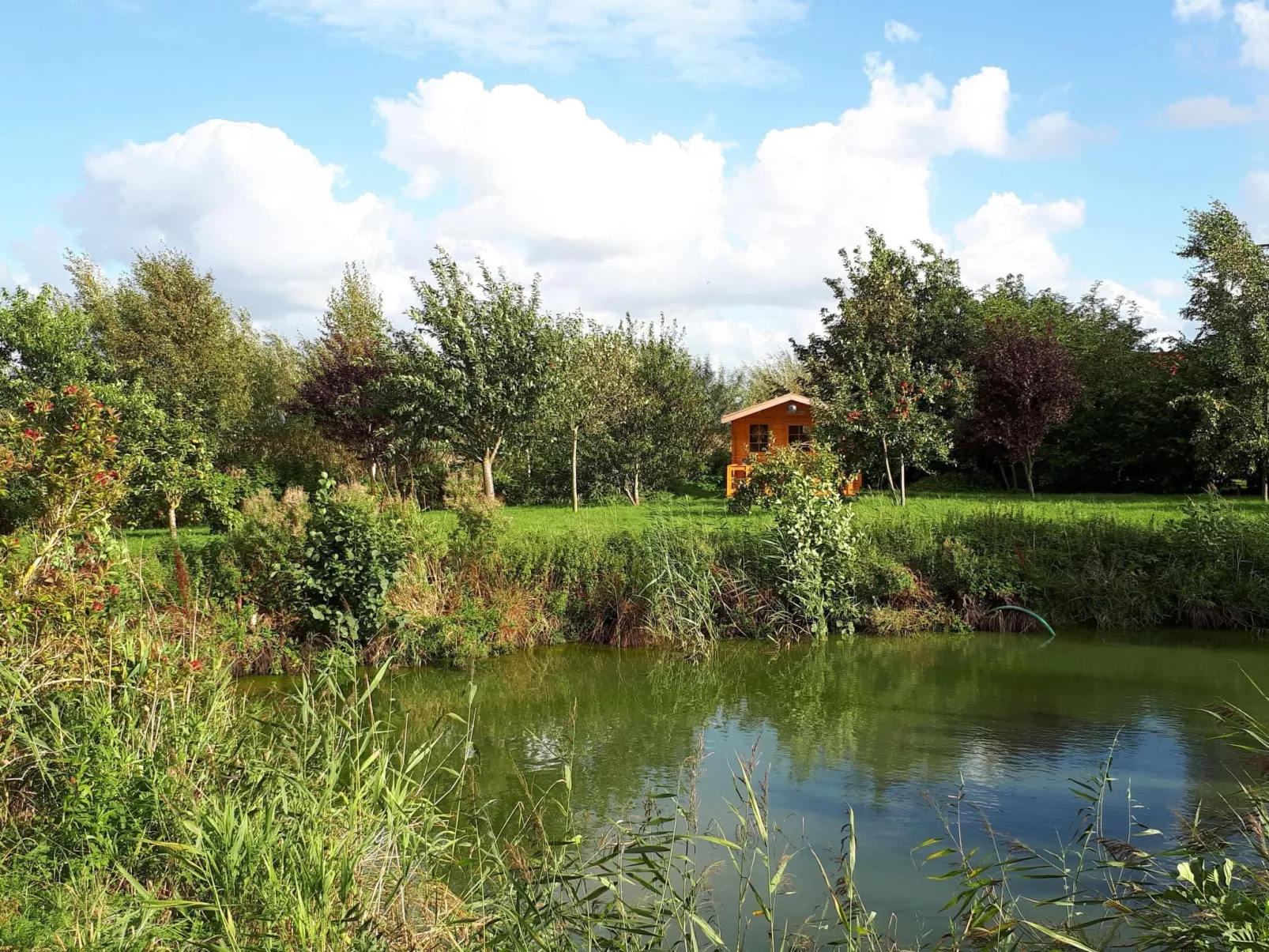 Sonnige Ferienwohnung in ländlicher Umgebung-Drinnen