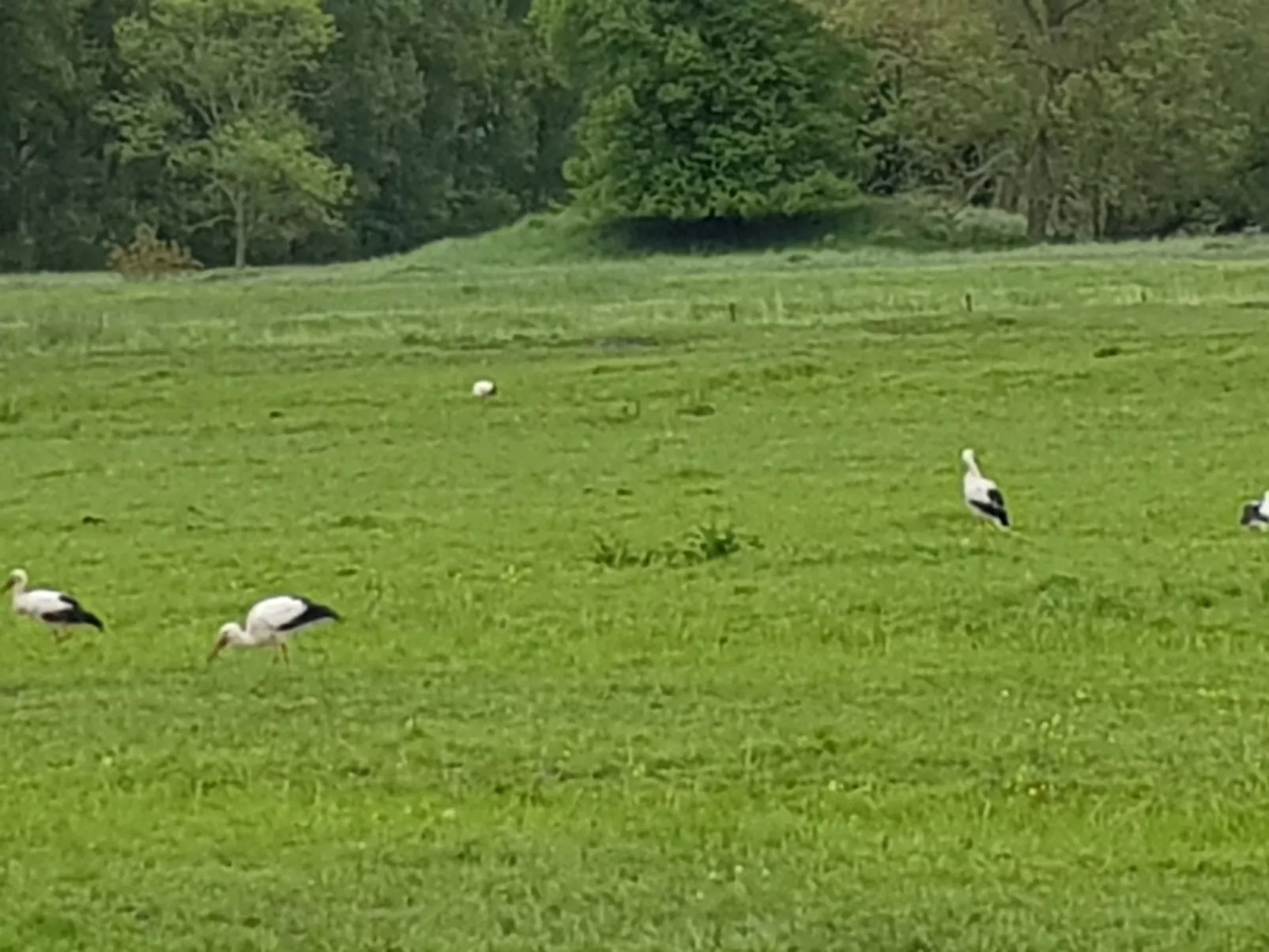 Beim Bracksee-Inside