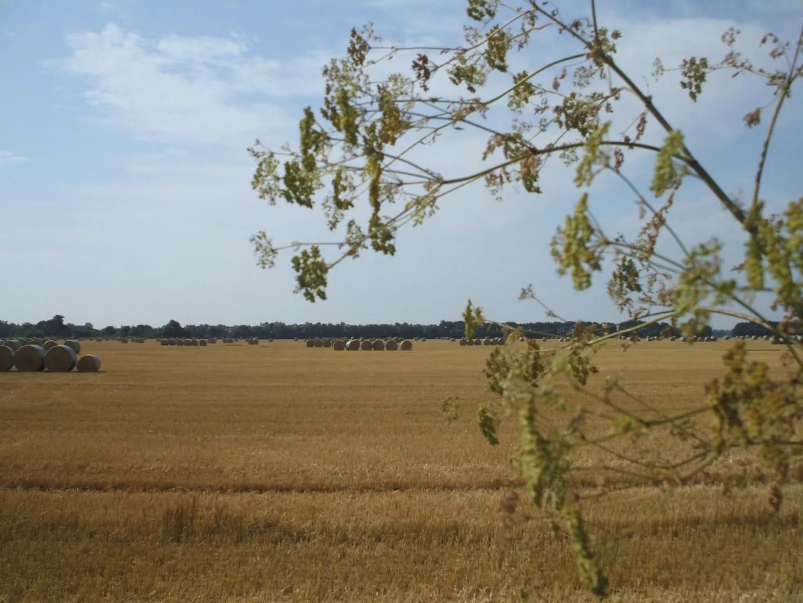 Oderhäuschen-Image-tags.info