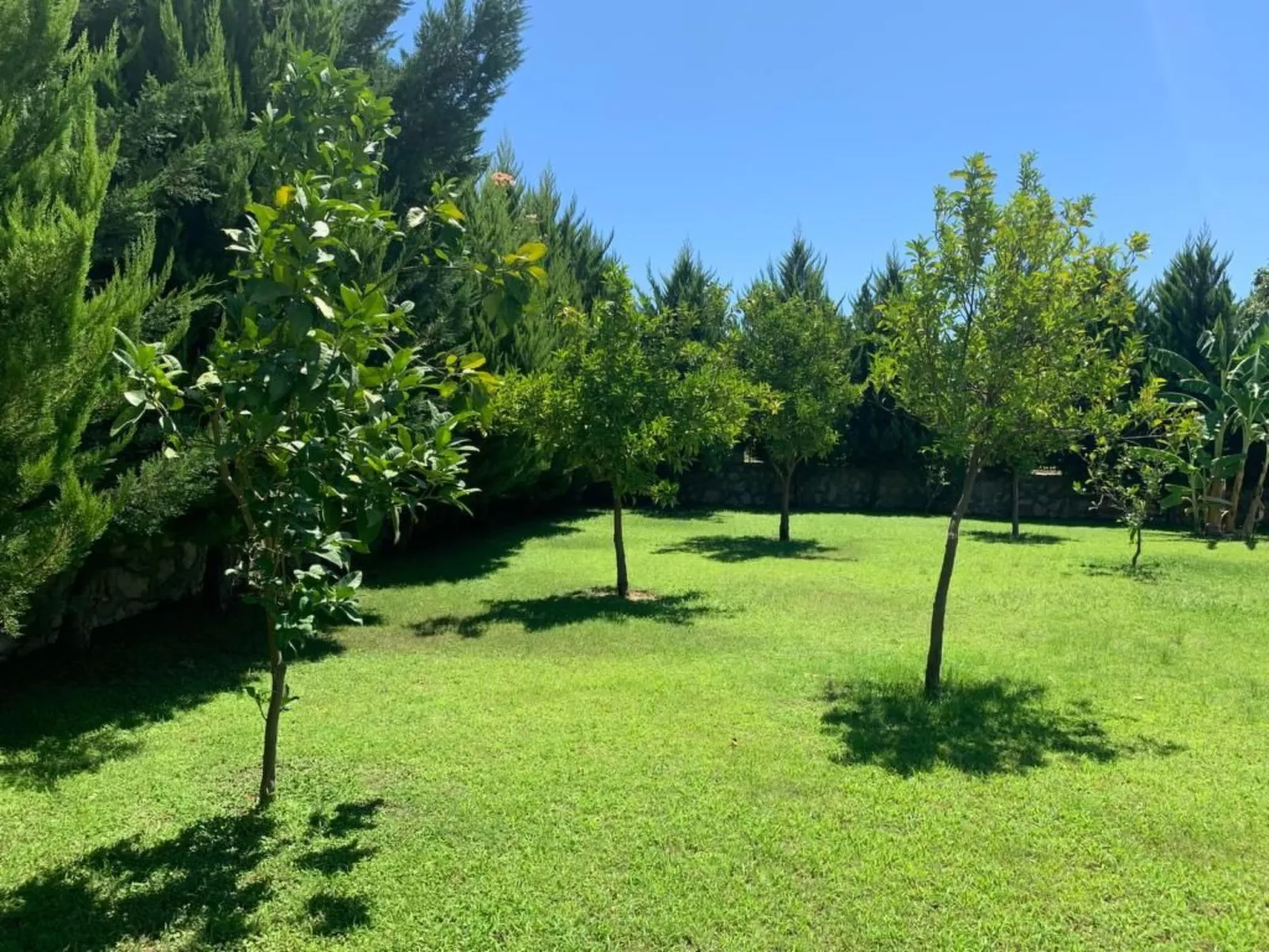 Mit Terrasse-Outside