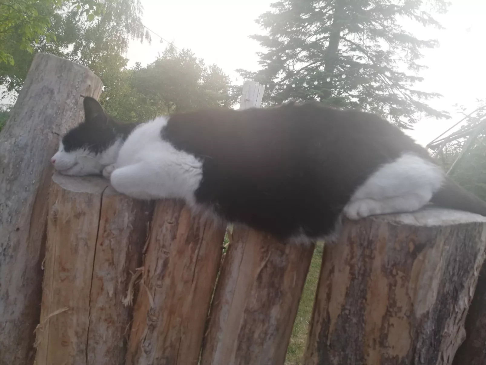 Landhaus Müritzliebe-Dedans