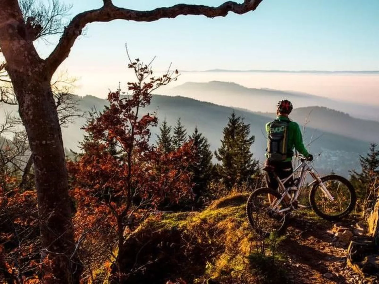 Haus mit Whirlpool, Sauna und Schwarzwaldblick-Inside