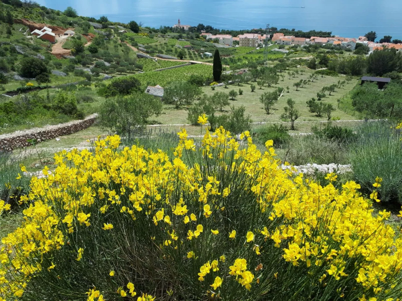 Wohnung in Bol-Dedans