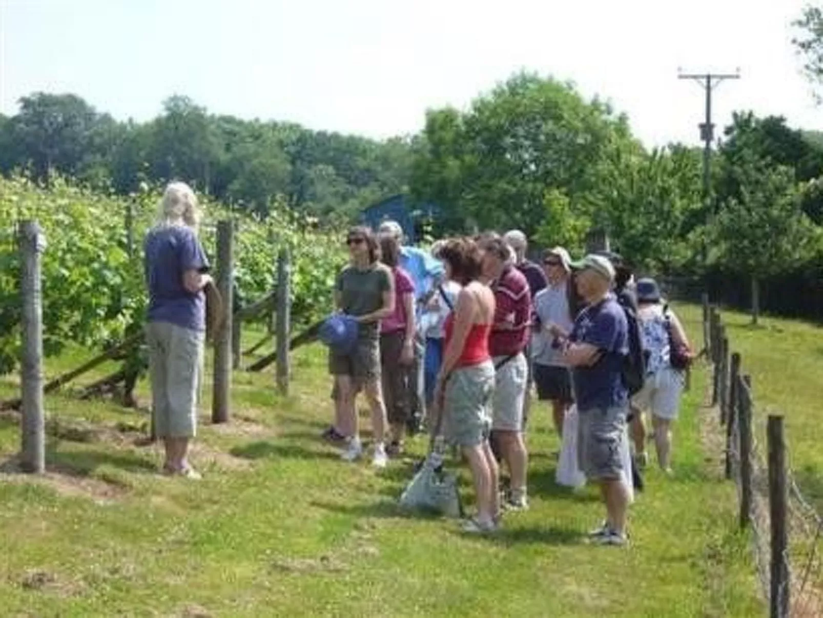 Cottage "Foxes Reach" mit Whirlpool-Image-tags.info