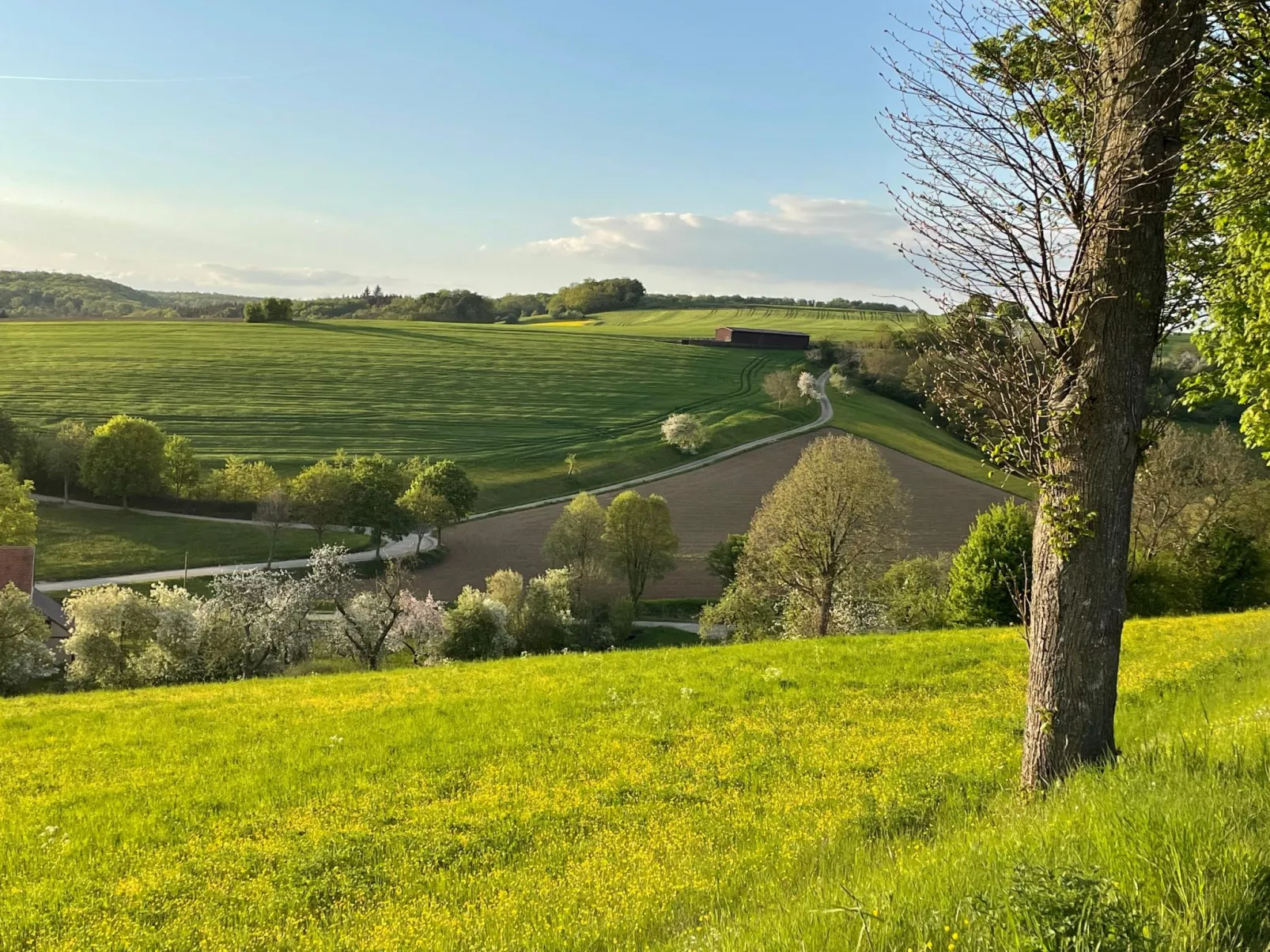 Nassauer Forsthaus-Inside