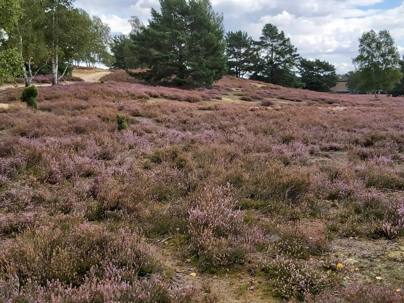 Wohnung in Jameln mit Garten, Grill und Terrasse-Dedans