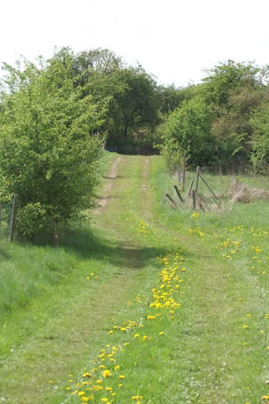 Gemütliche Maisonette Wohnung Seelenblick-Inside