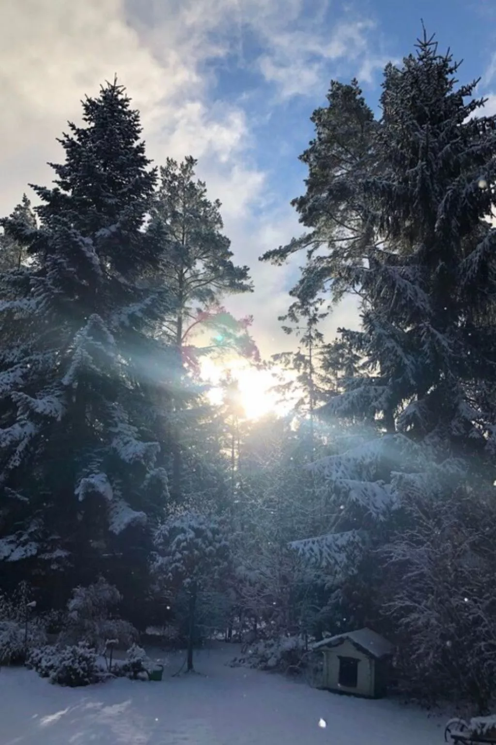 Reetdach Ferienhaus am Lübbesee Sauna Bootsteg neu-Inside