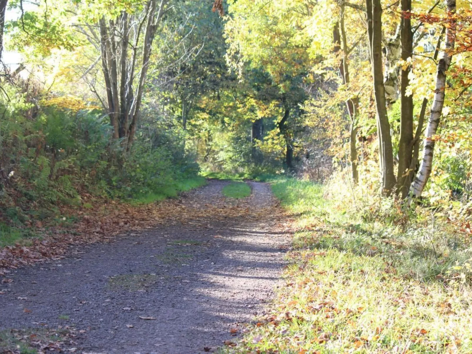 Wohnung in Heringhausen mit Grill-Drinnen