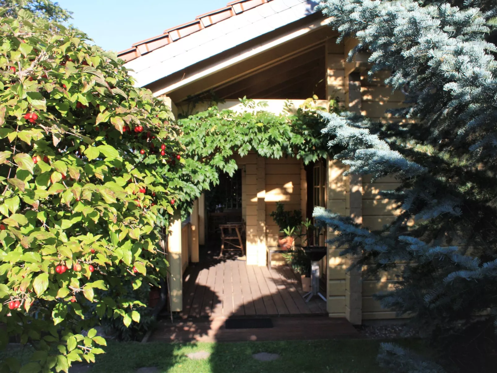 Gemütliches Blockhaus in Waldrandlage mit Sauna-Draußen