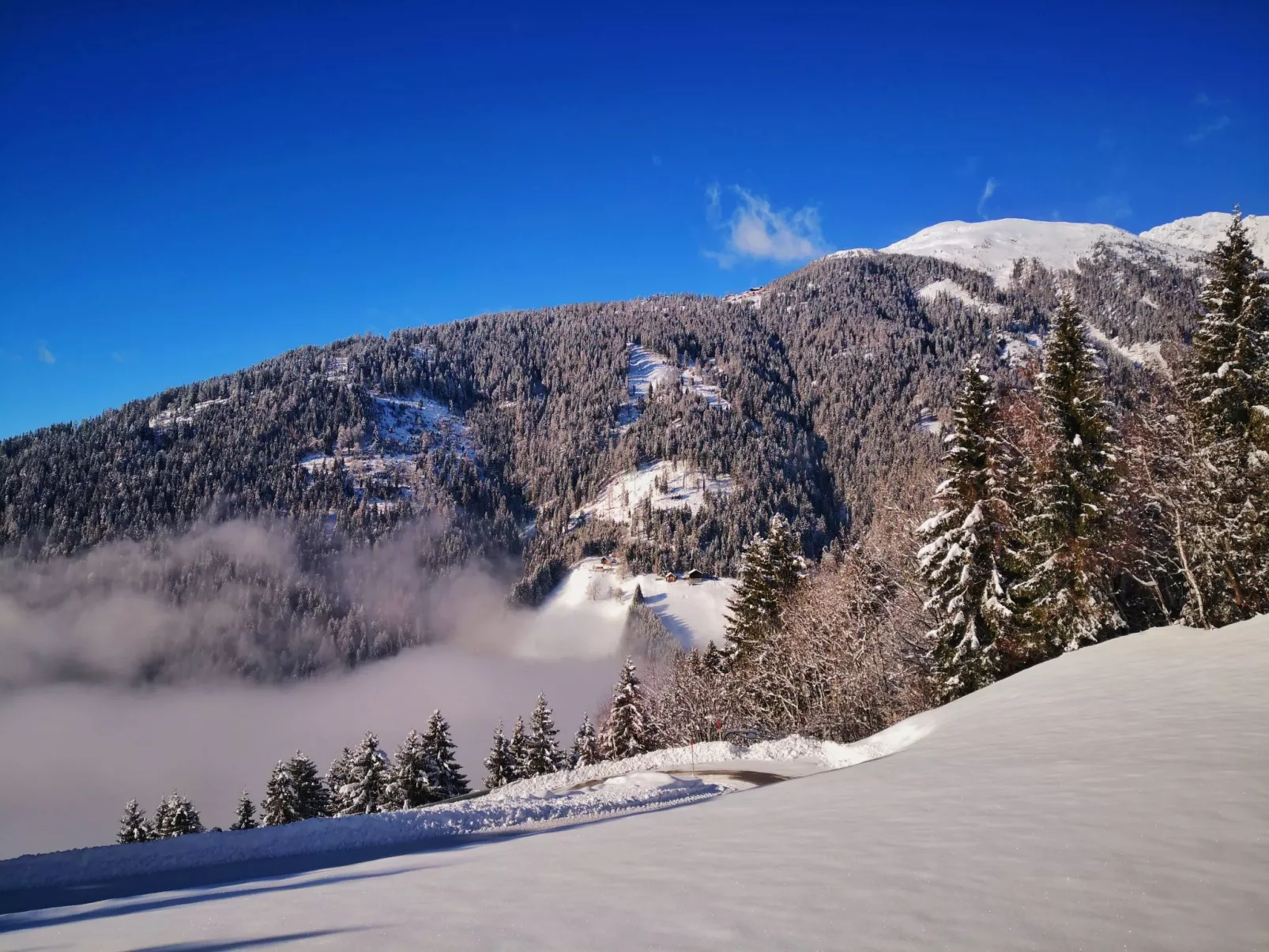Almhütte Enzian-Inside