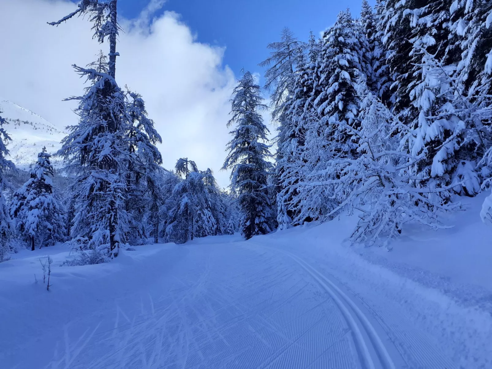 Urlaub in den Bergen-Dehors
