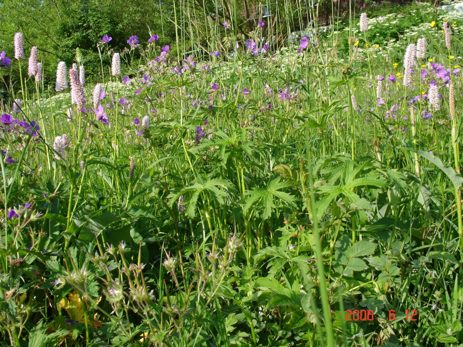 Charmantes, traditionelles Holzhaus-Inside