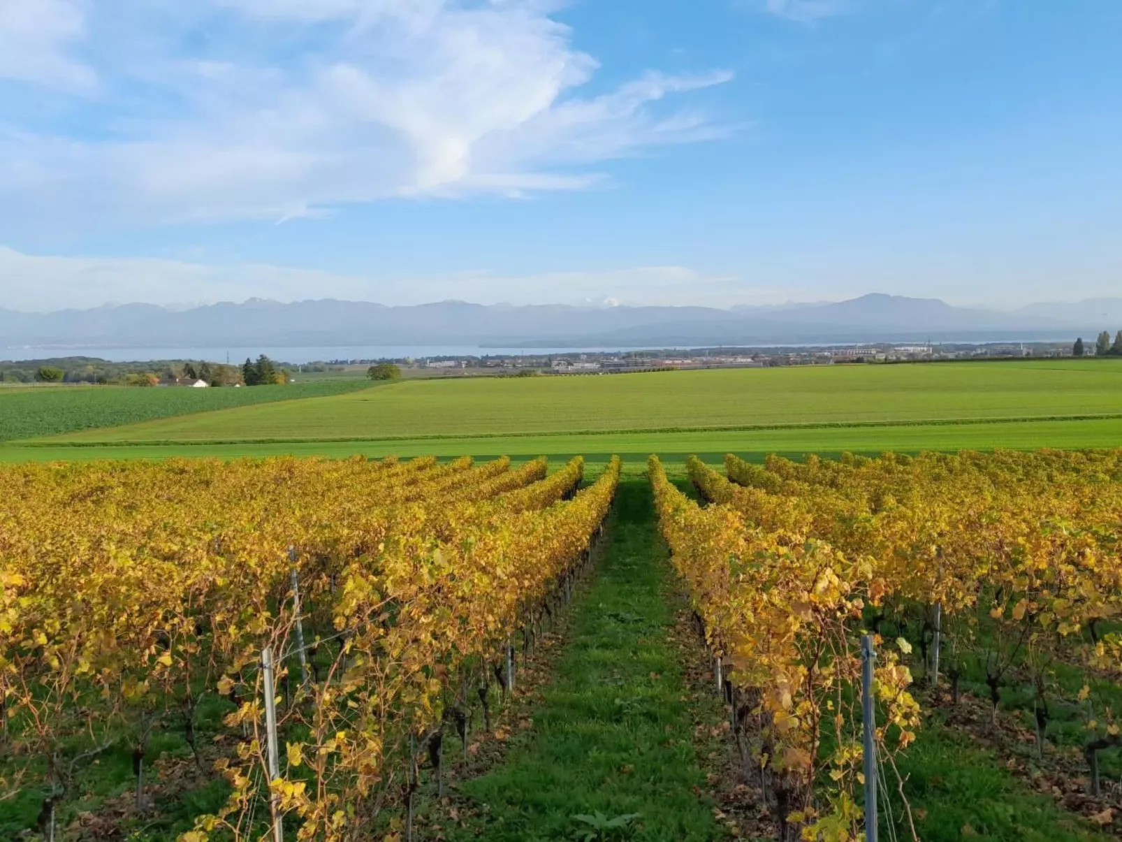 In Bauernhof-Drinnen