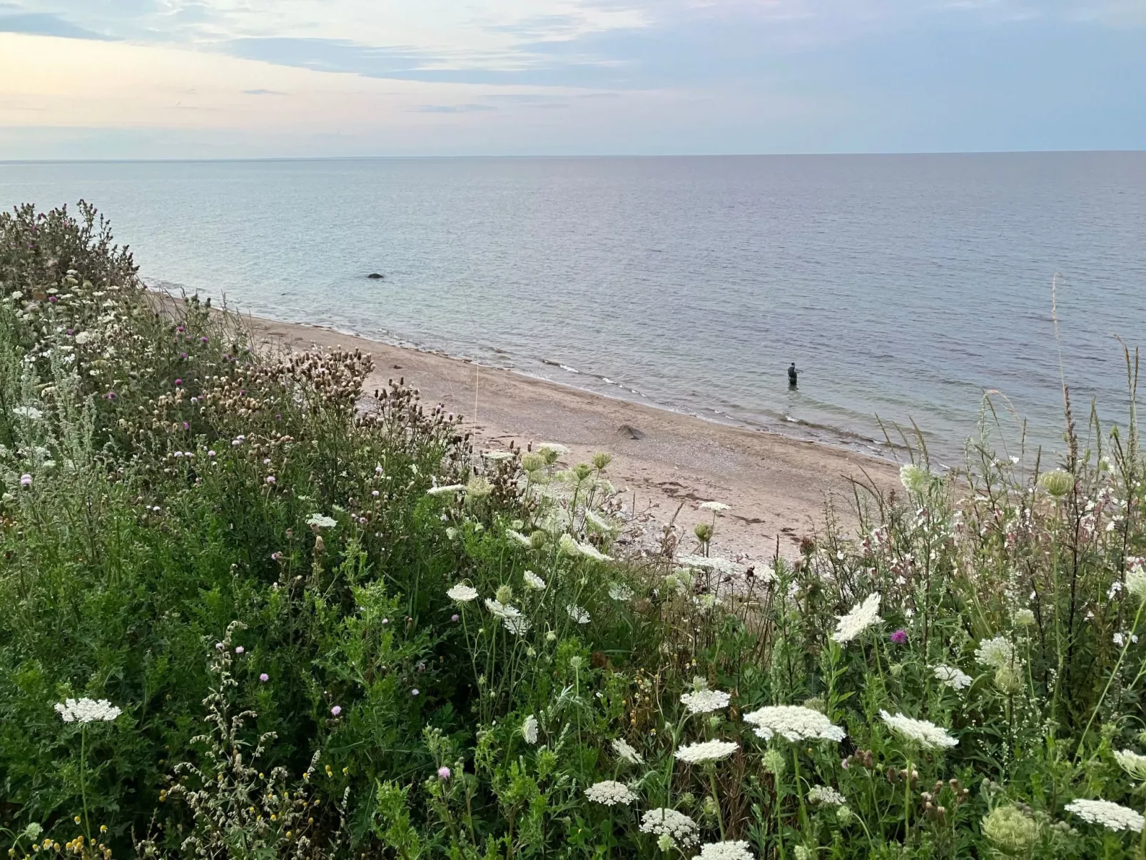 Haus mit Herz-Dehors