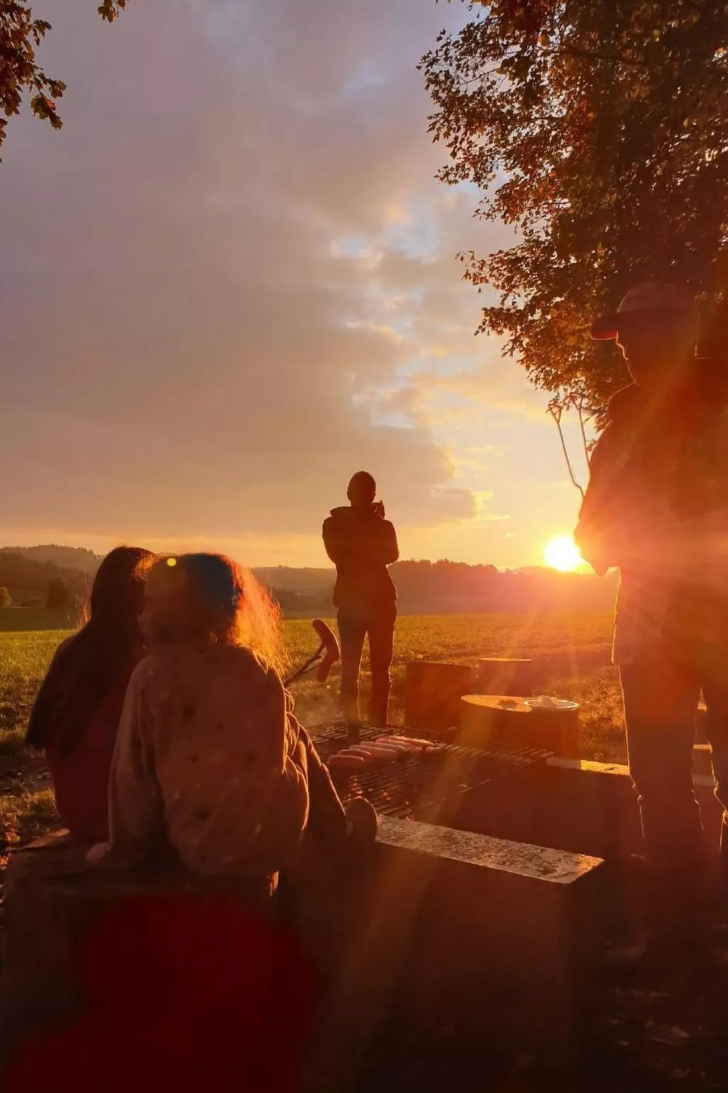 Sommerhof-Image-tags.info