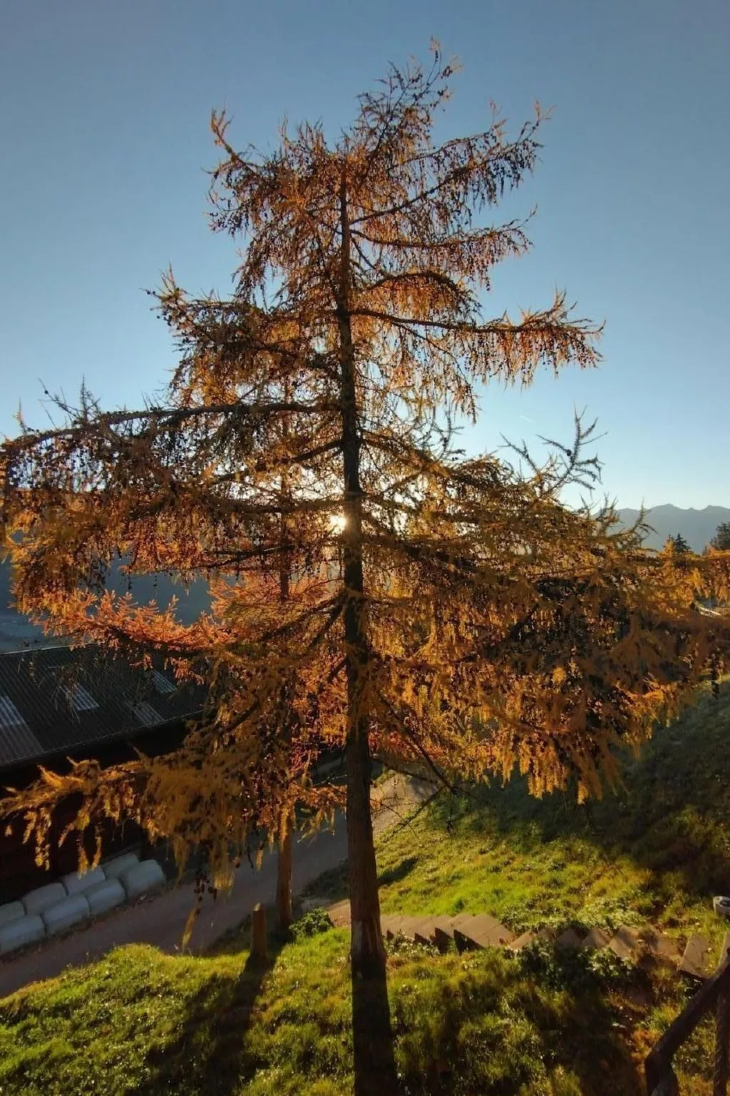 Staudenhof Viamala-Outside