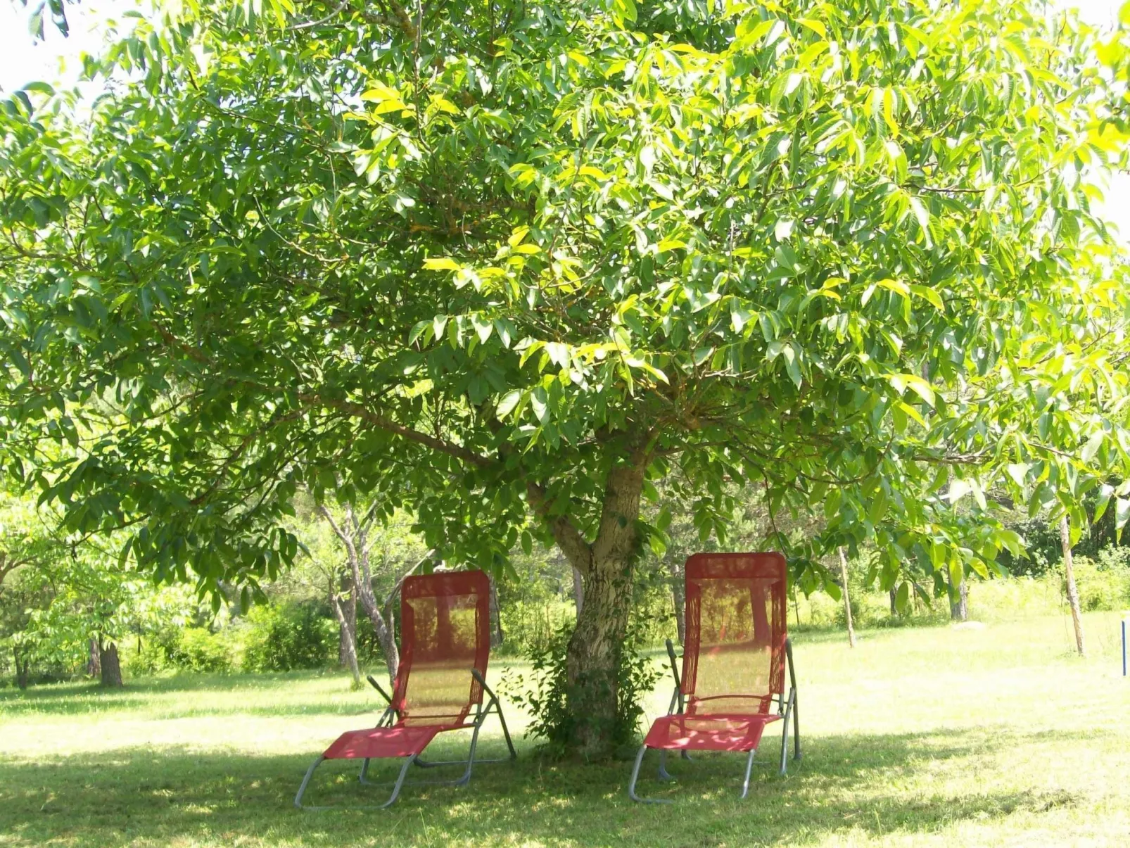 "Lana" mit Whirlpool-Outside