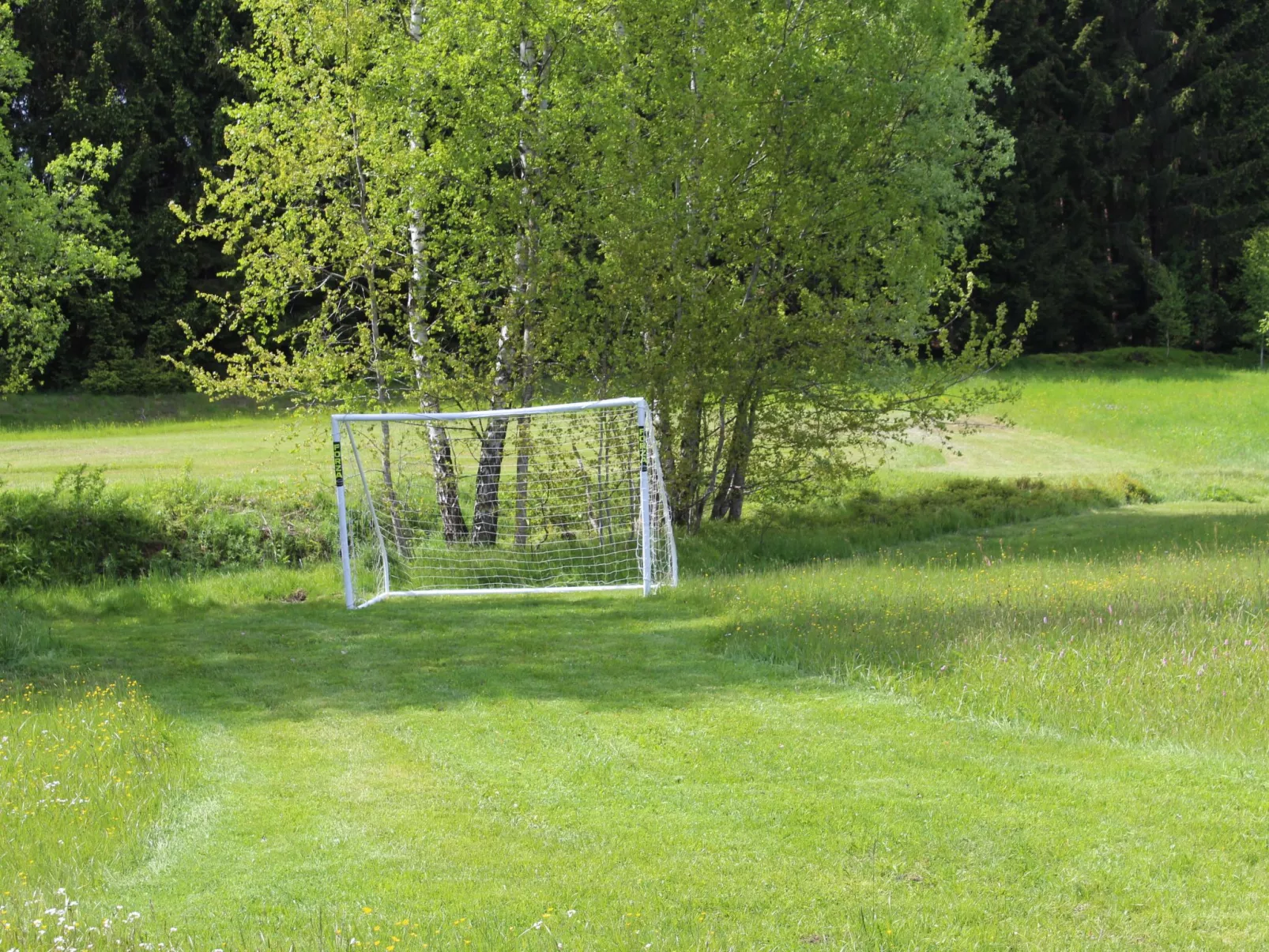 Mit Kaminofen, Fitnessraum und Sauna-Draußen