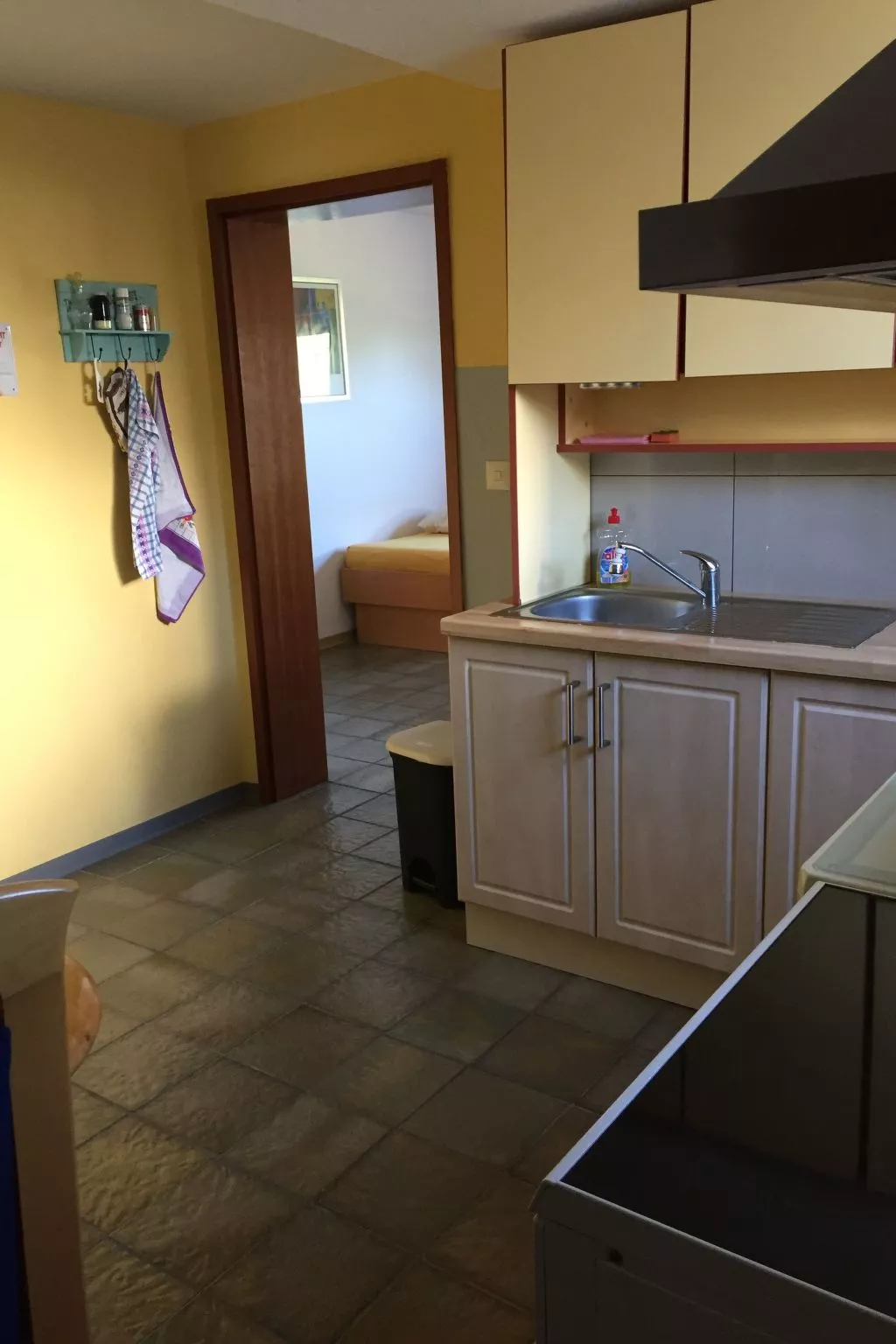 Gemüliche Ferienwohnung Schmandin-Drinnen