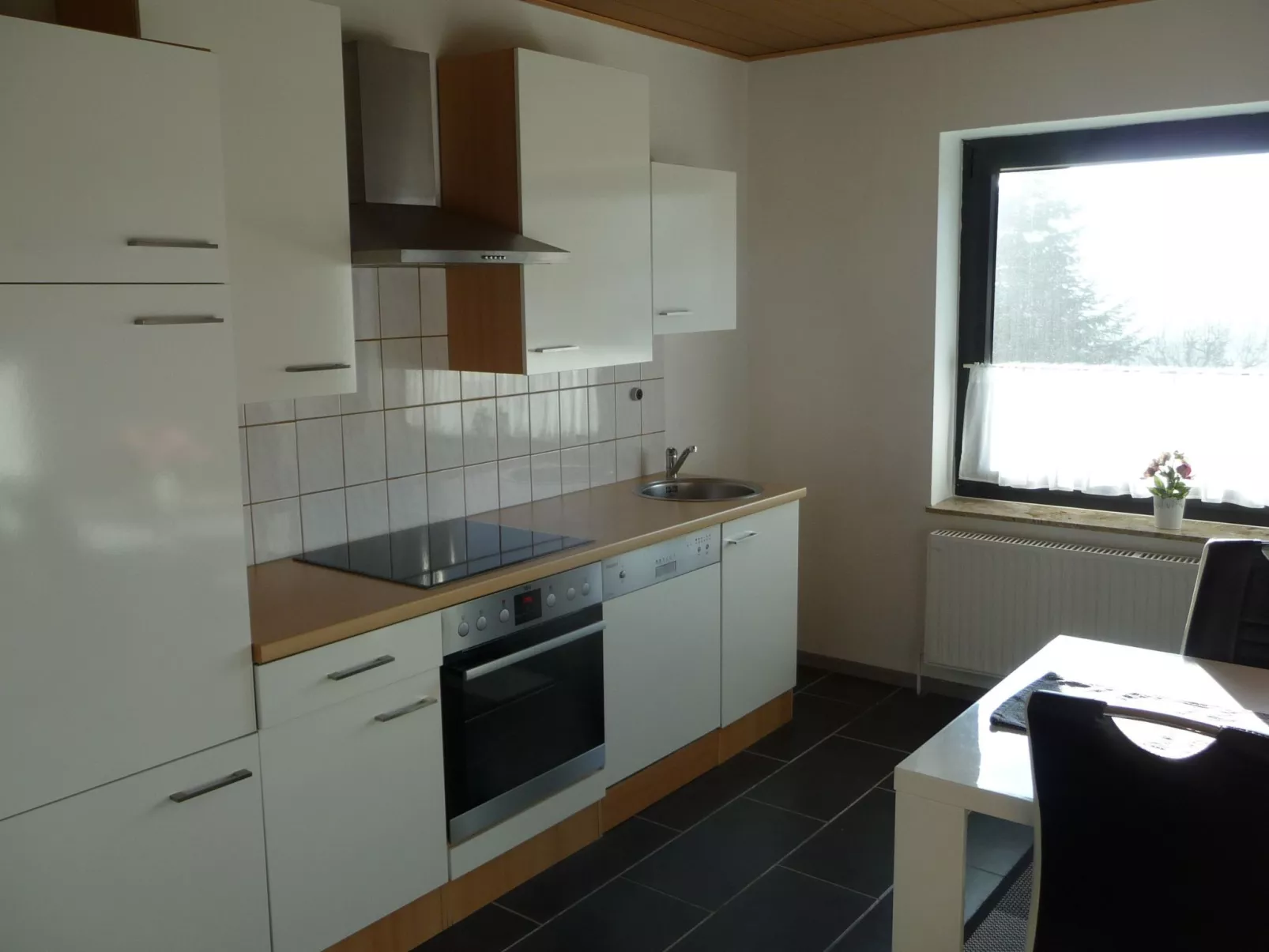 Apartment mit Hund-Inside