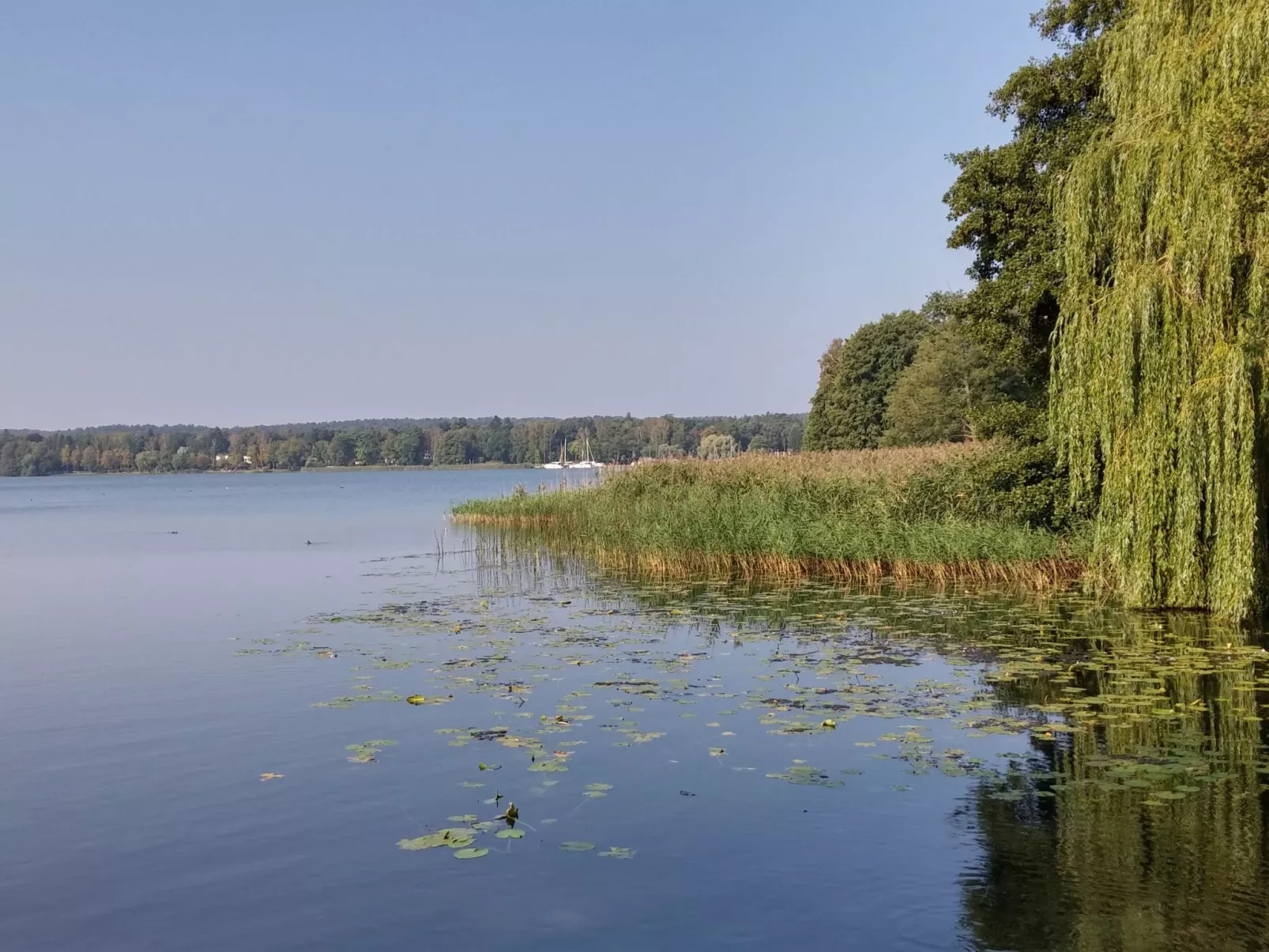 Appartement am See-Dedans