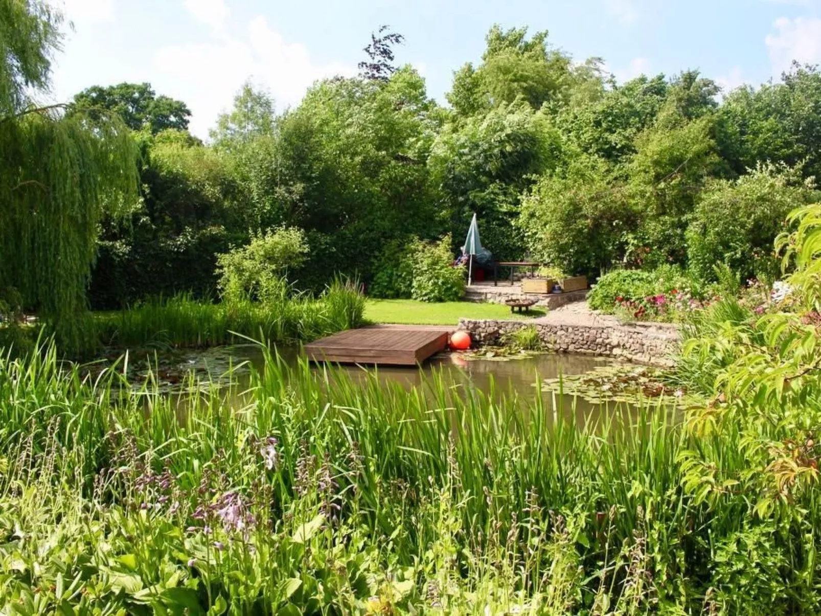 Teichblick in Klütz-Inside
