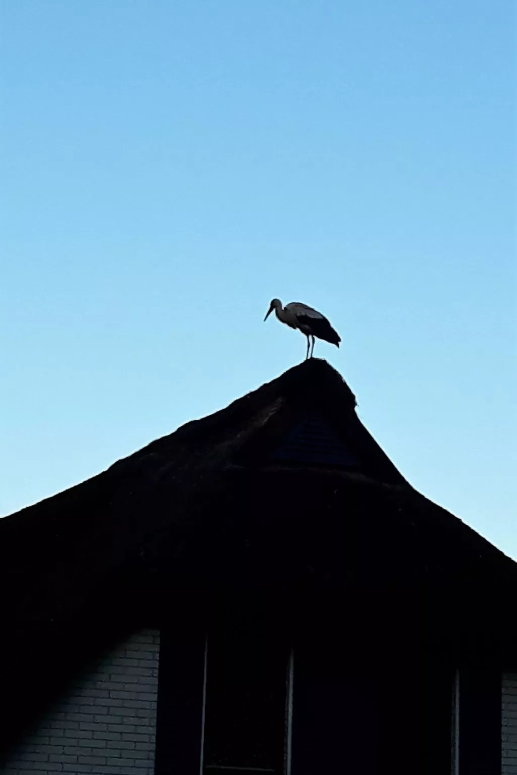 Haus-Zauberblau-Drinnen