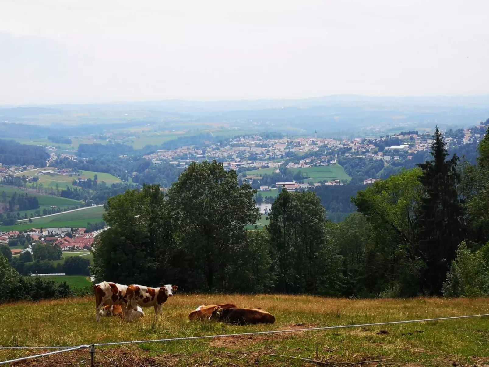 Wohnung mit möblierter Terrasse und Waldblick-Drinnen