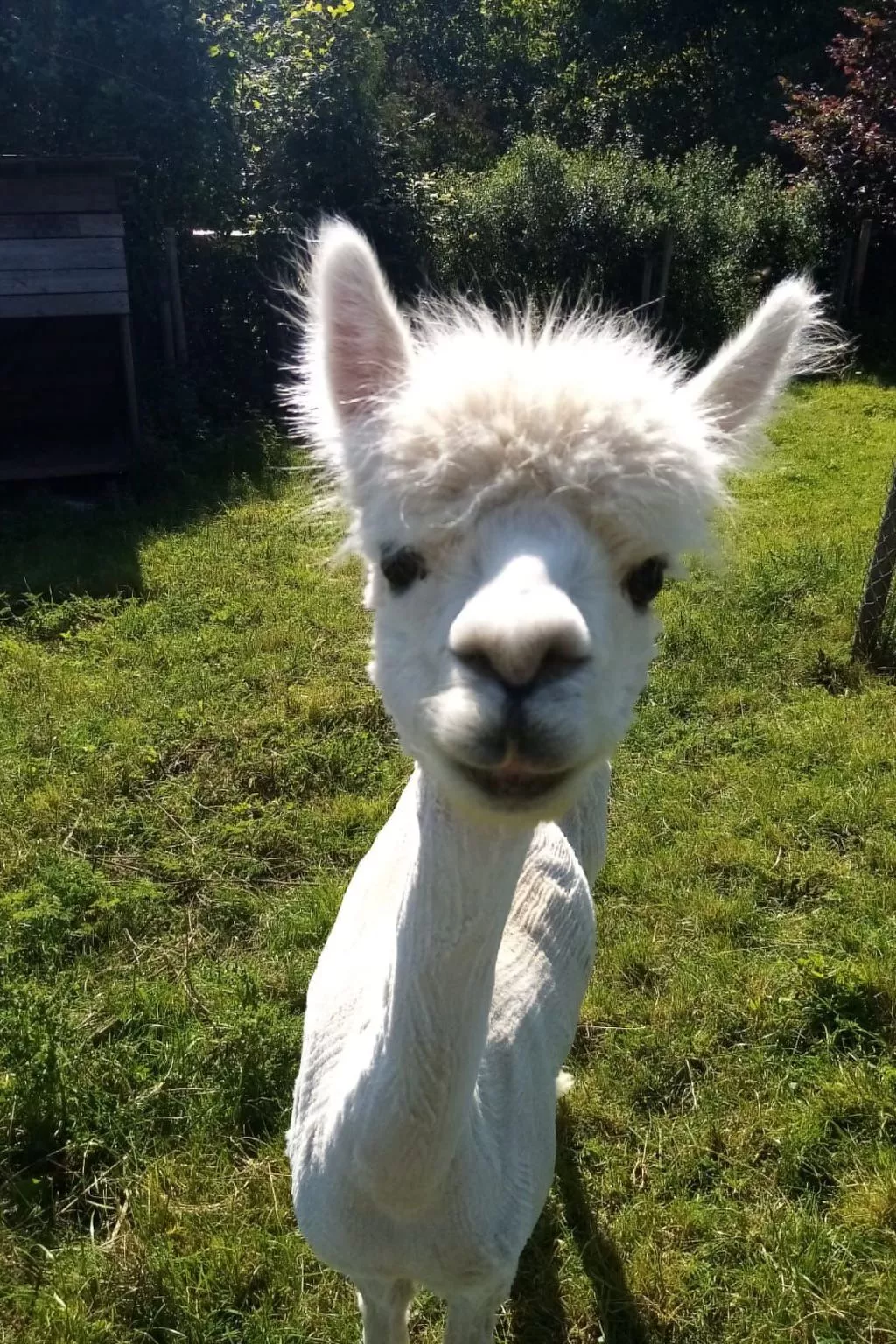 Herzfennerhof Loft-Image-tags.info