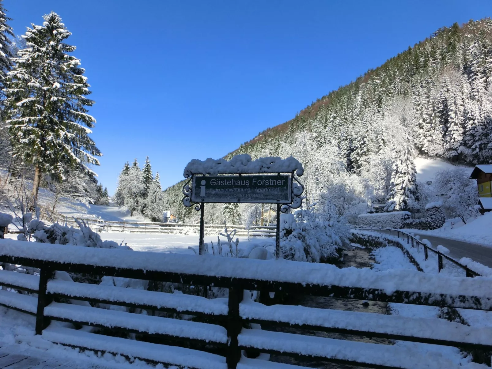 Eulenrast in Loich-Inside