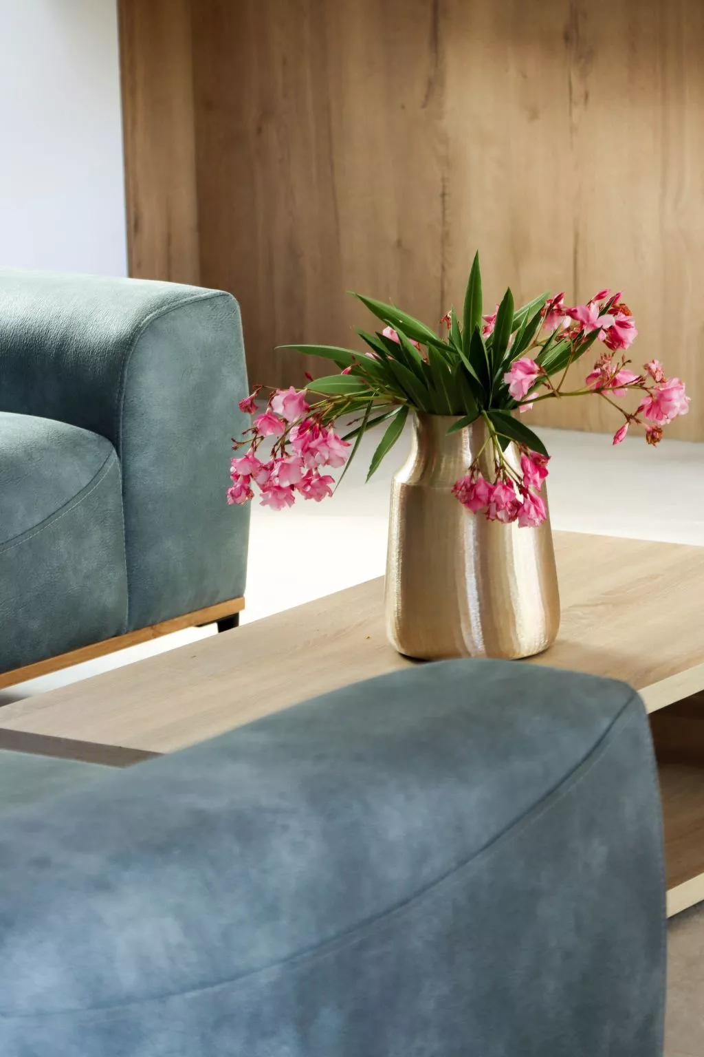 Villa Mi, Rukavac, Opatija Riviera-Dedans