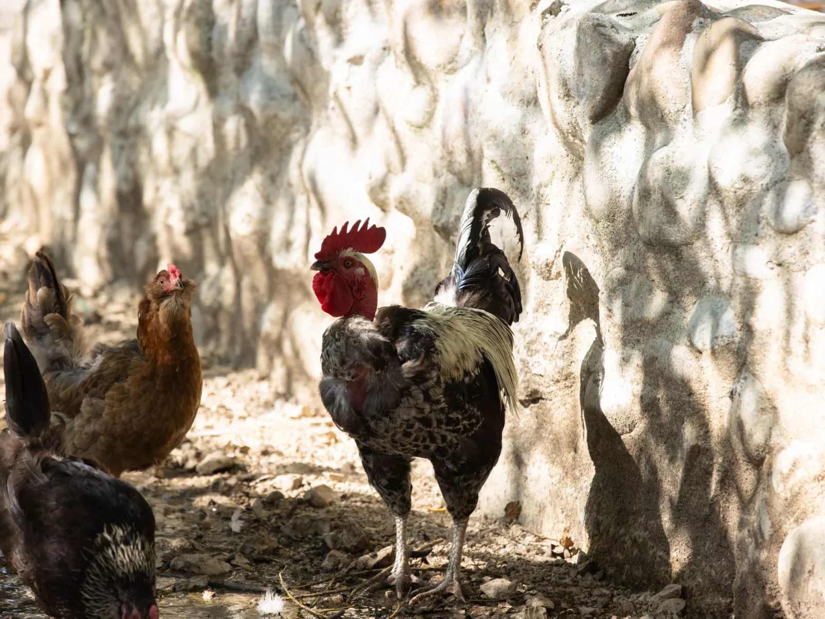 Appartement LouisXVI-Draußen