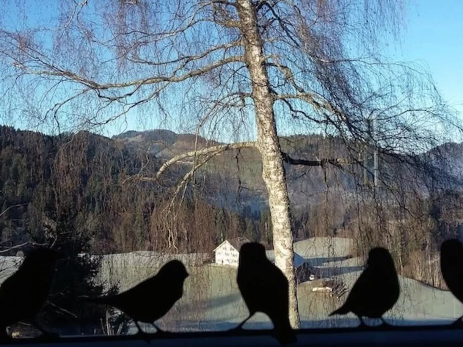 Haus Chrumis-Draußen