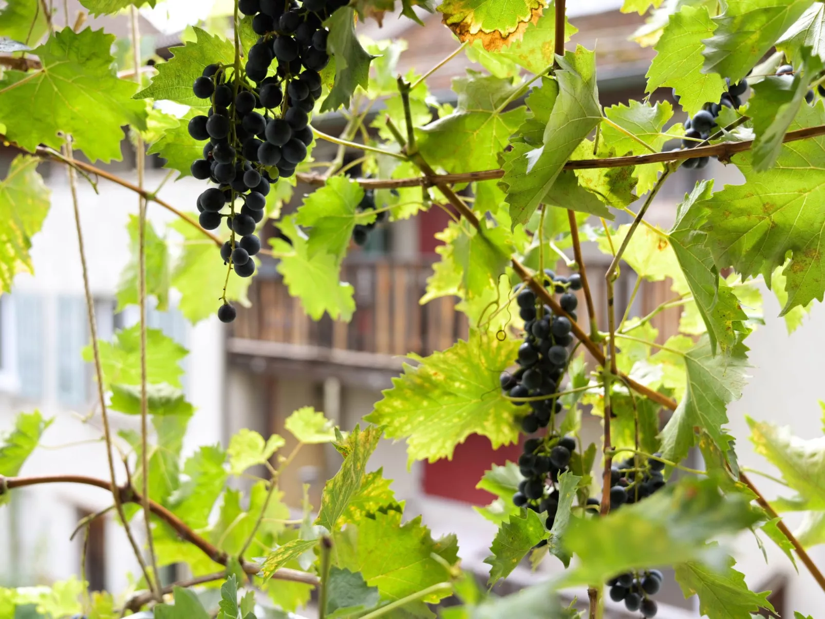 WohlfühlNest-Inside