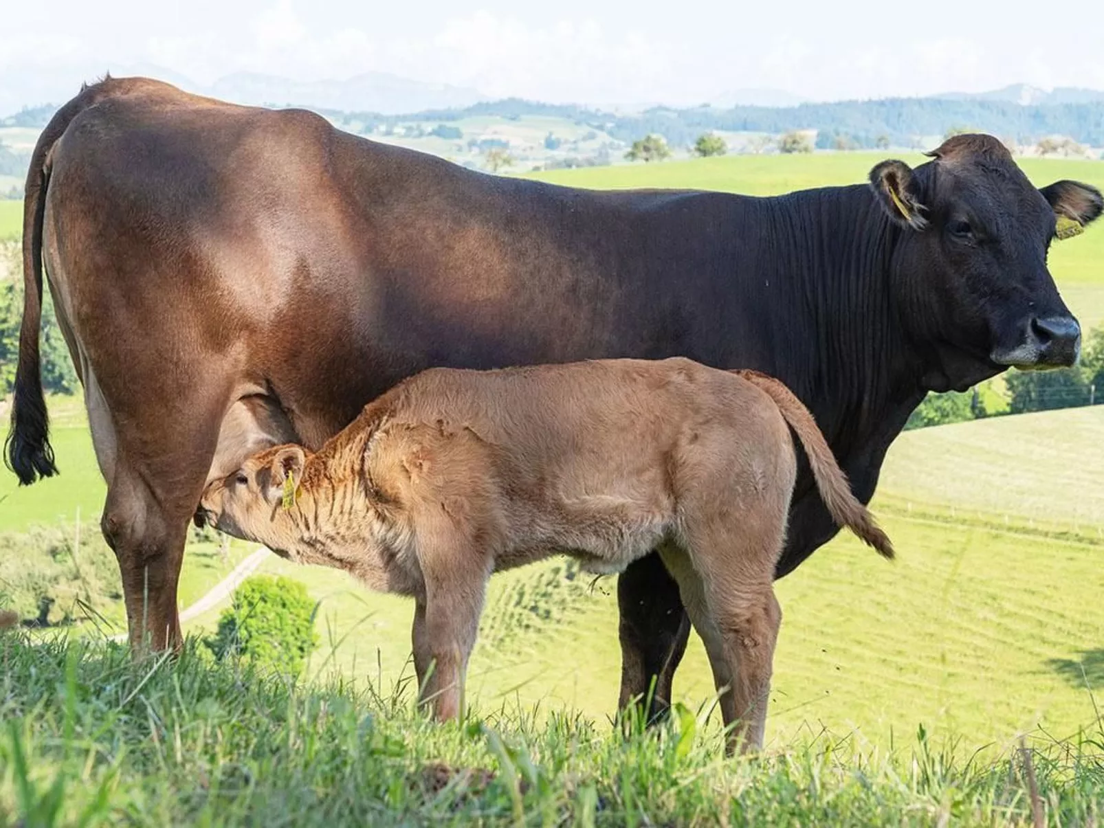 Eggenhof Ferien-Dehors