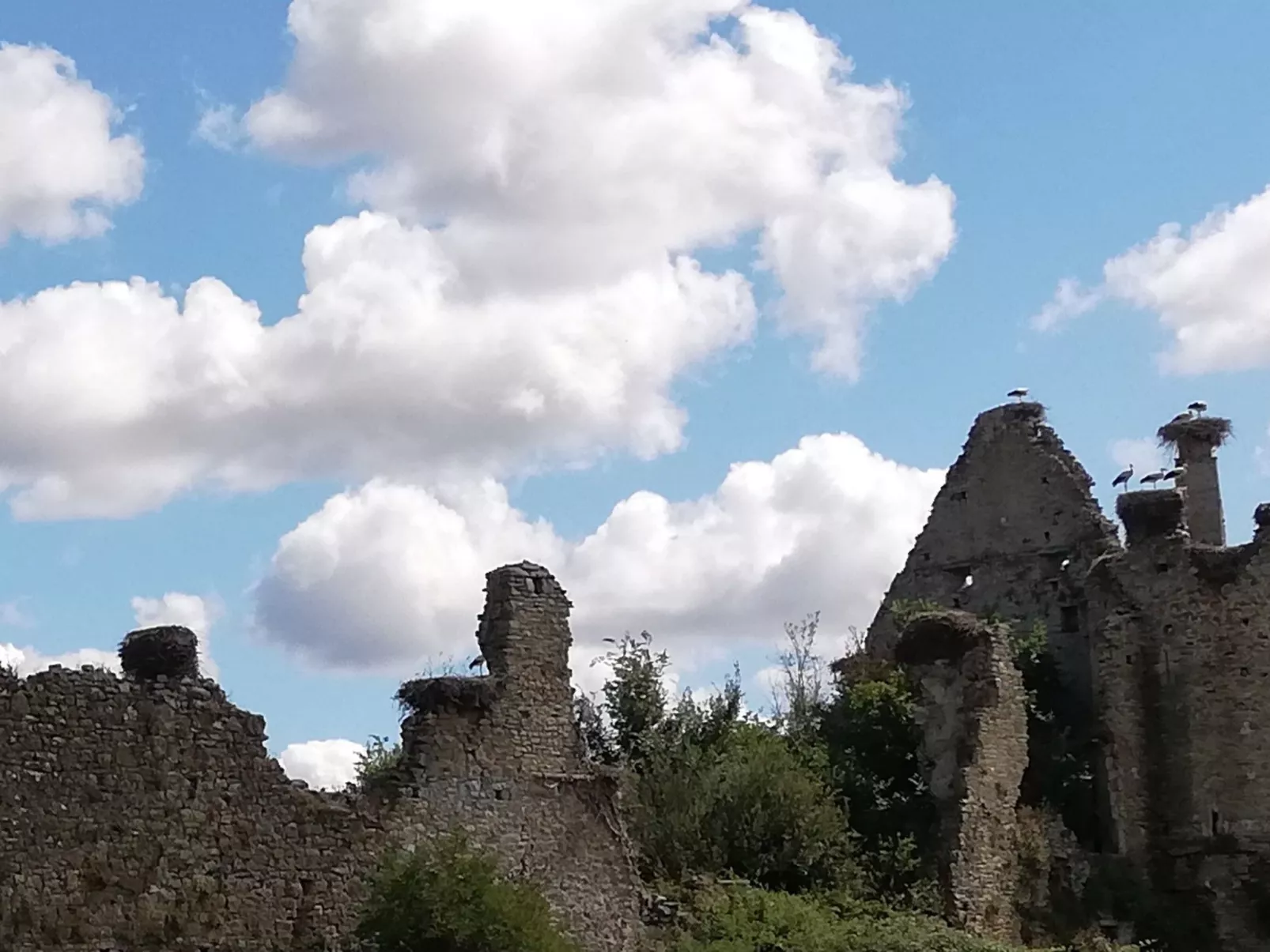 Schönes Haus Isigny für 6 Personen-Dedans