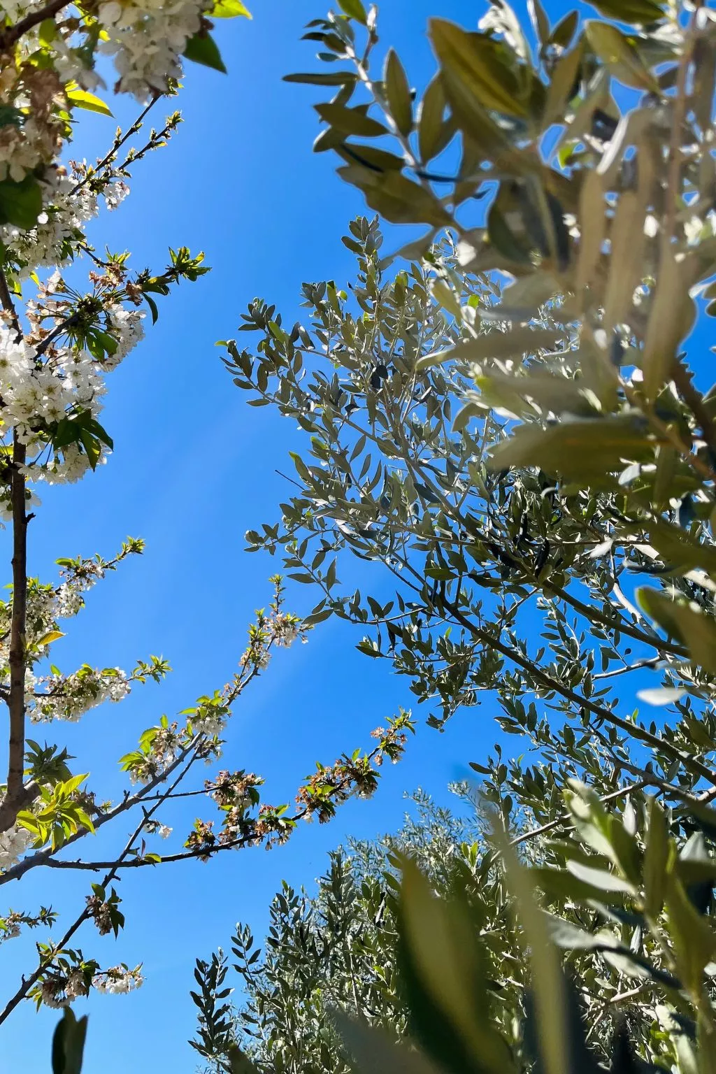 Neugebaute Wohnung im Erdgeschoss-Image-tags.info
