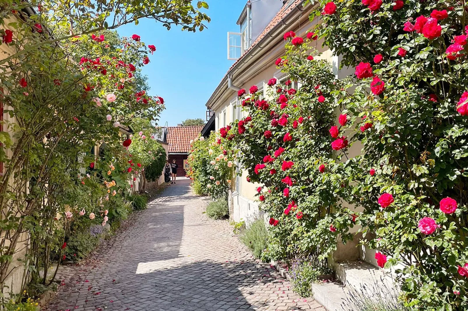 4 star holiday home in VISBY-By Traum-Not tagged