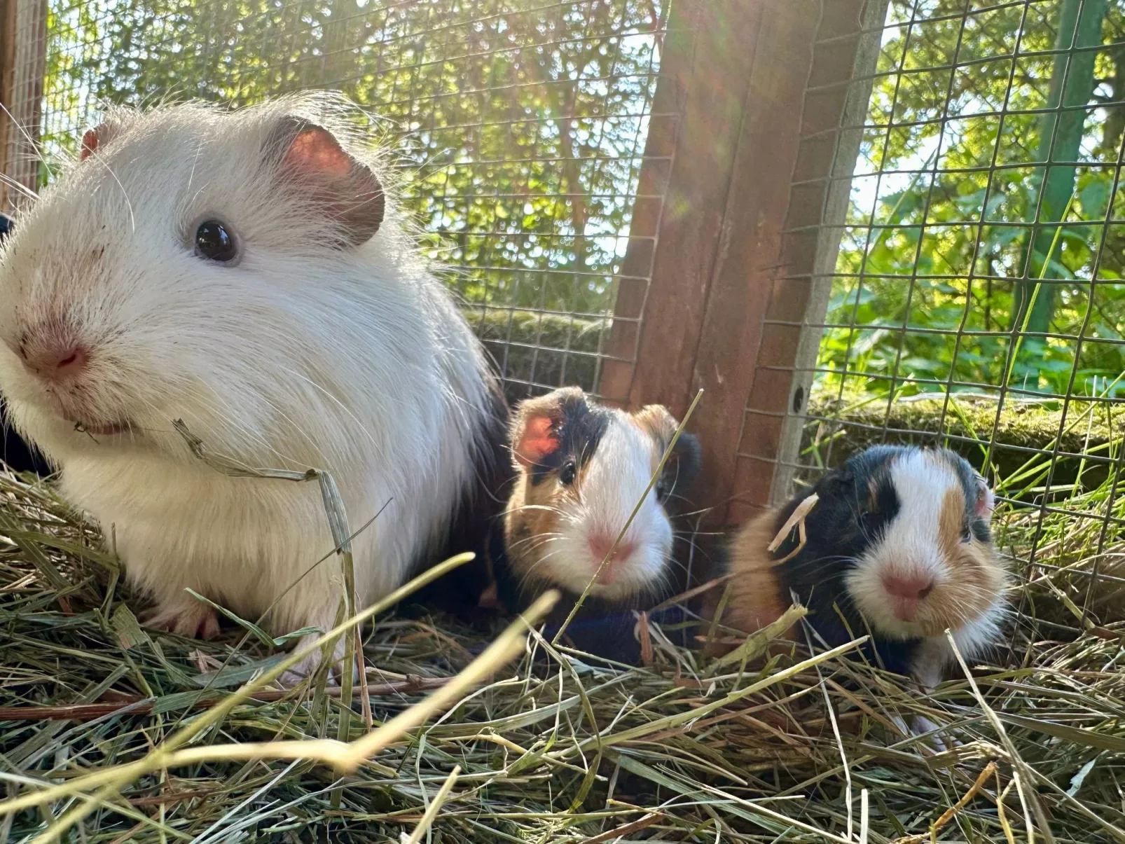 In  Green Valley Park 4-Inside