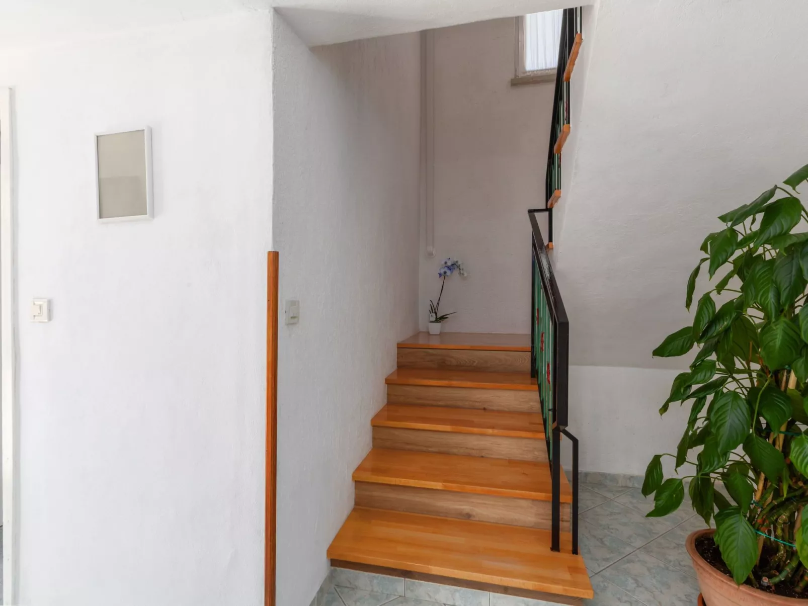 Familienhaus Anna-Image-tags.info