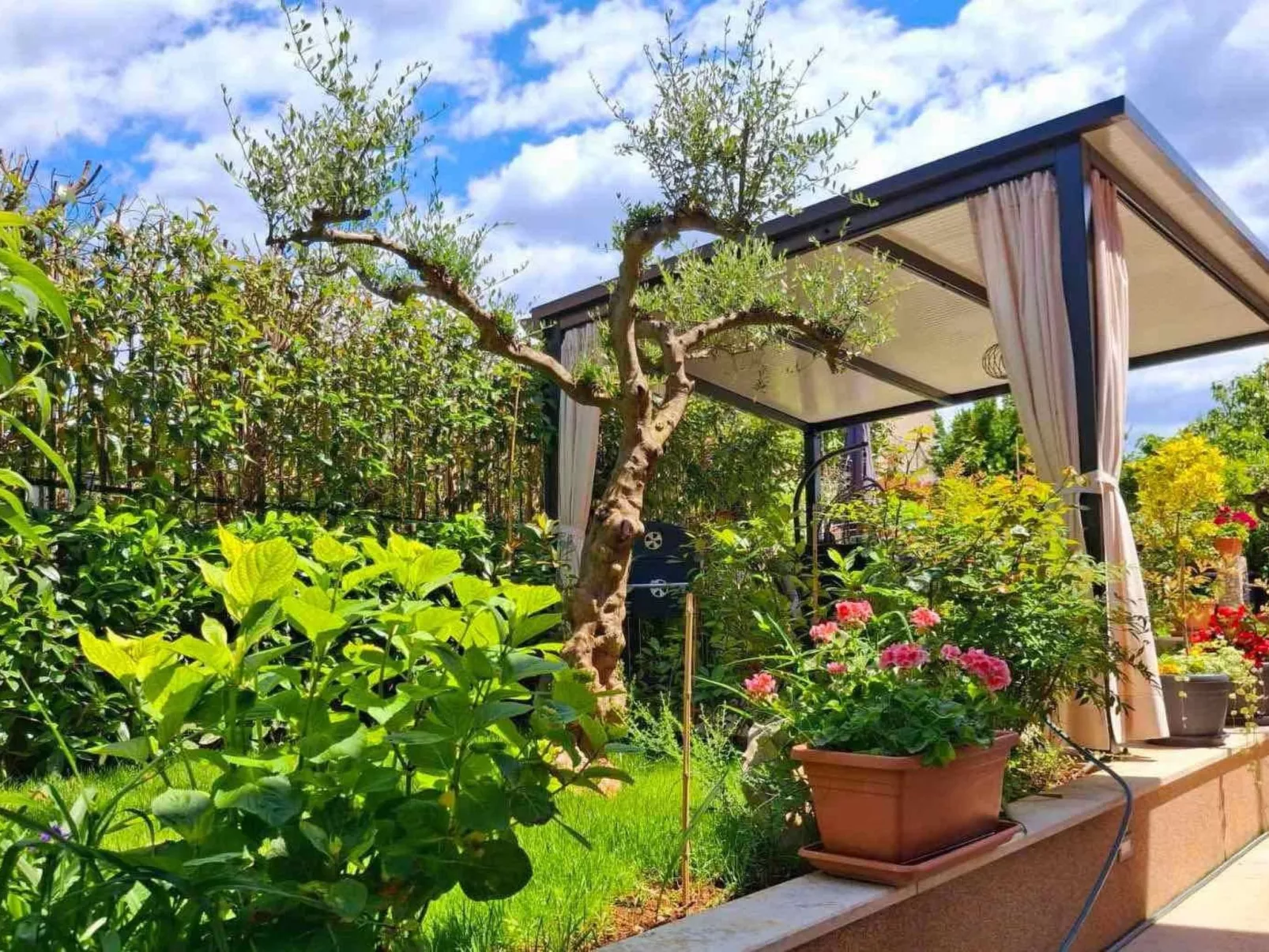 Schöne Wohnung Funtana Nr.3-Inside