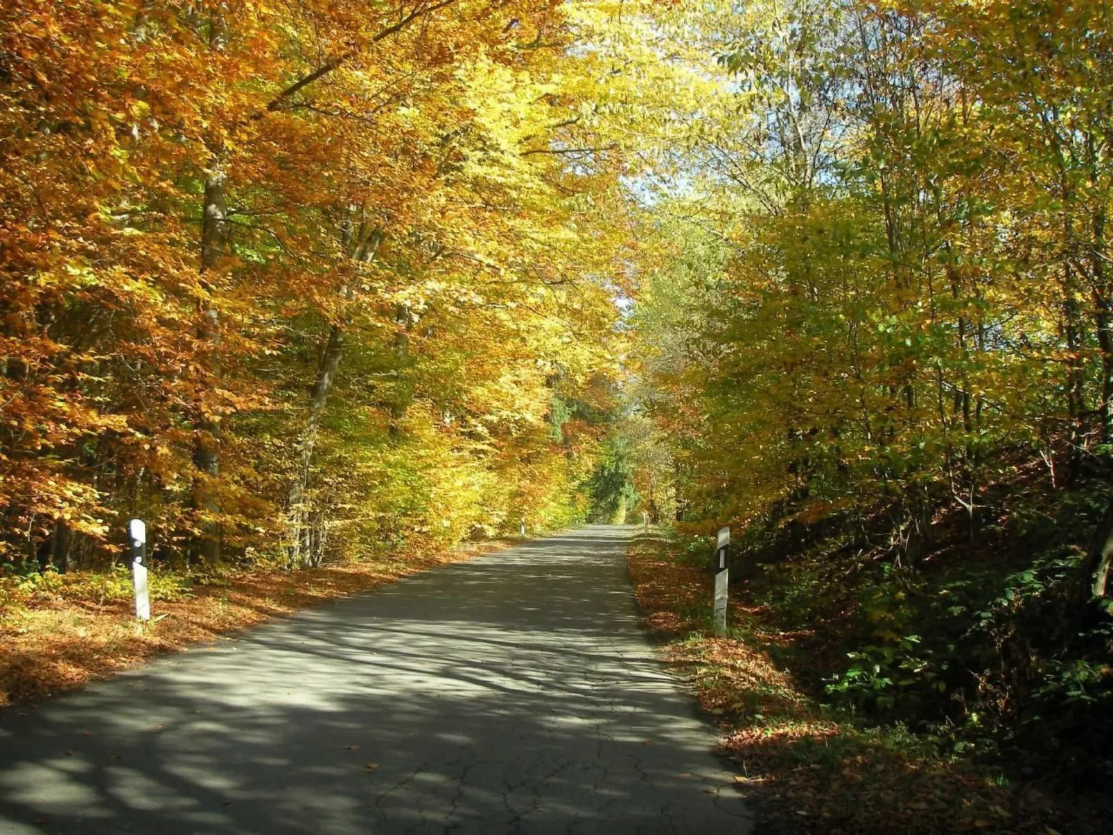 Haus "Hermann"-Drinnen