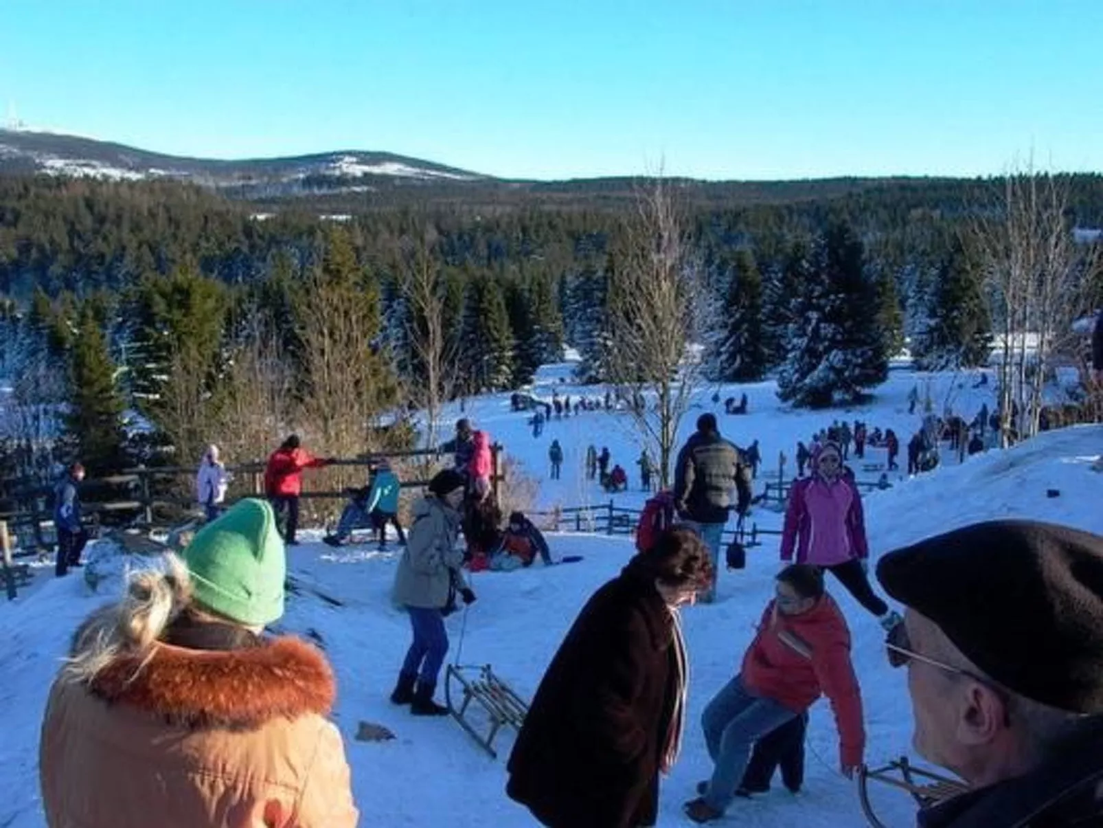 Appartement in Altenau mit Garten-Image-tags.info