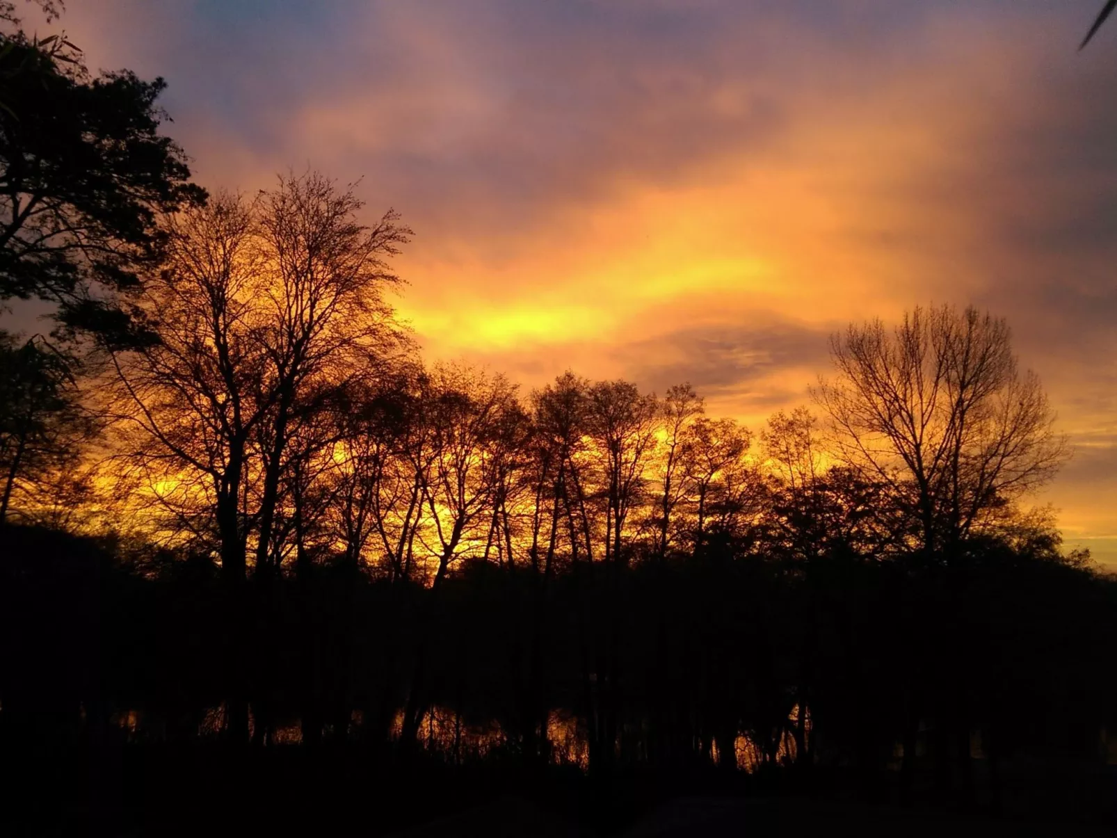 In Süd-Waldhanglage mit Seeblick-Drinnen