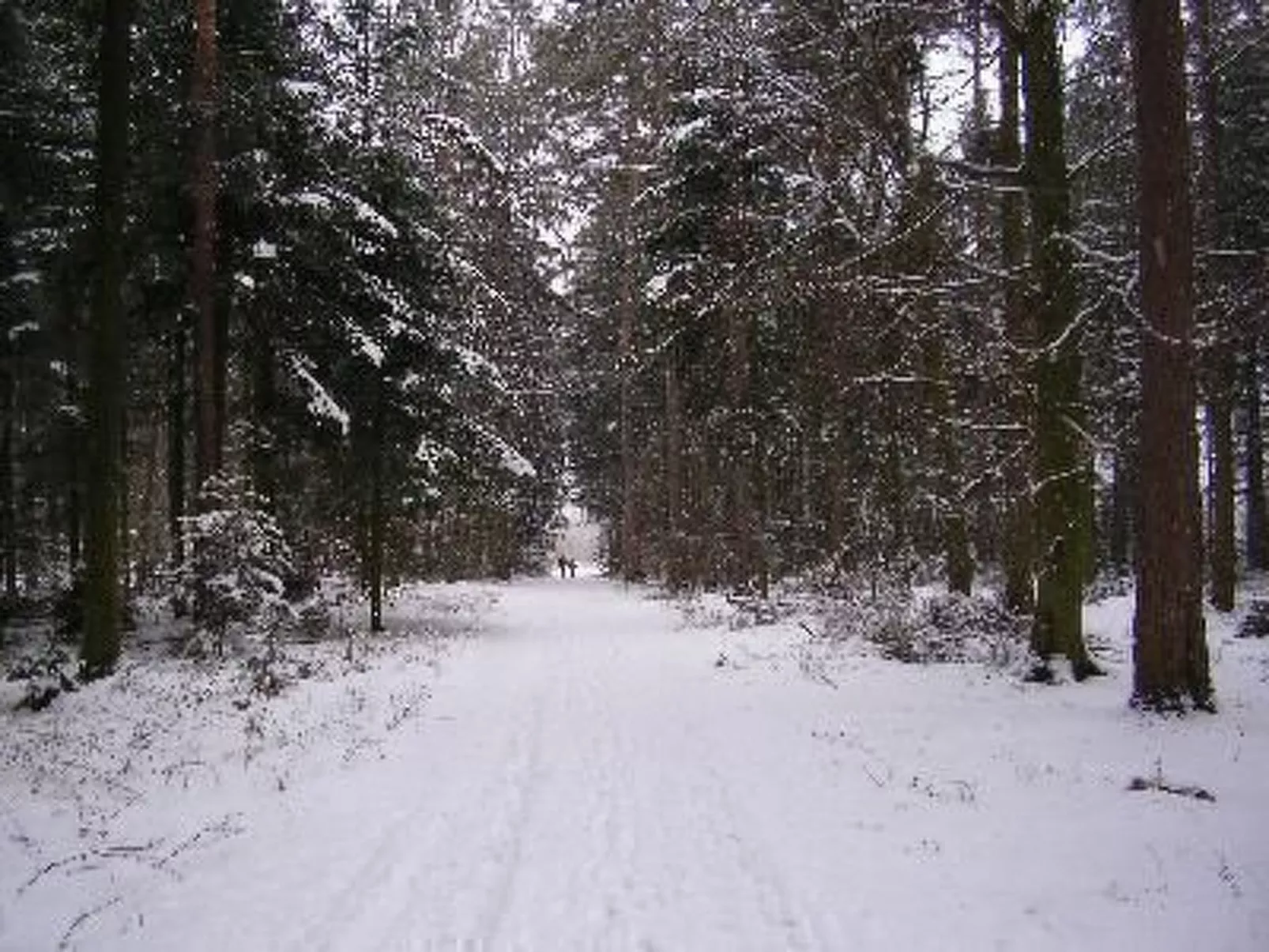 Nur-Dach-Ferienhaus für vier Personen-Inside