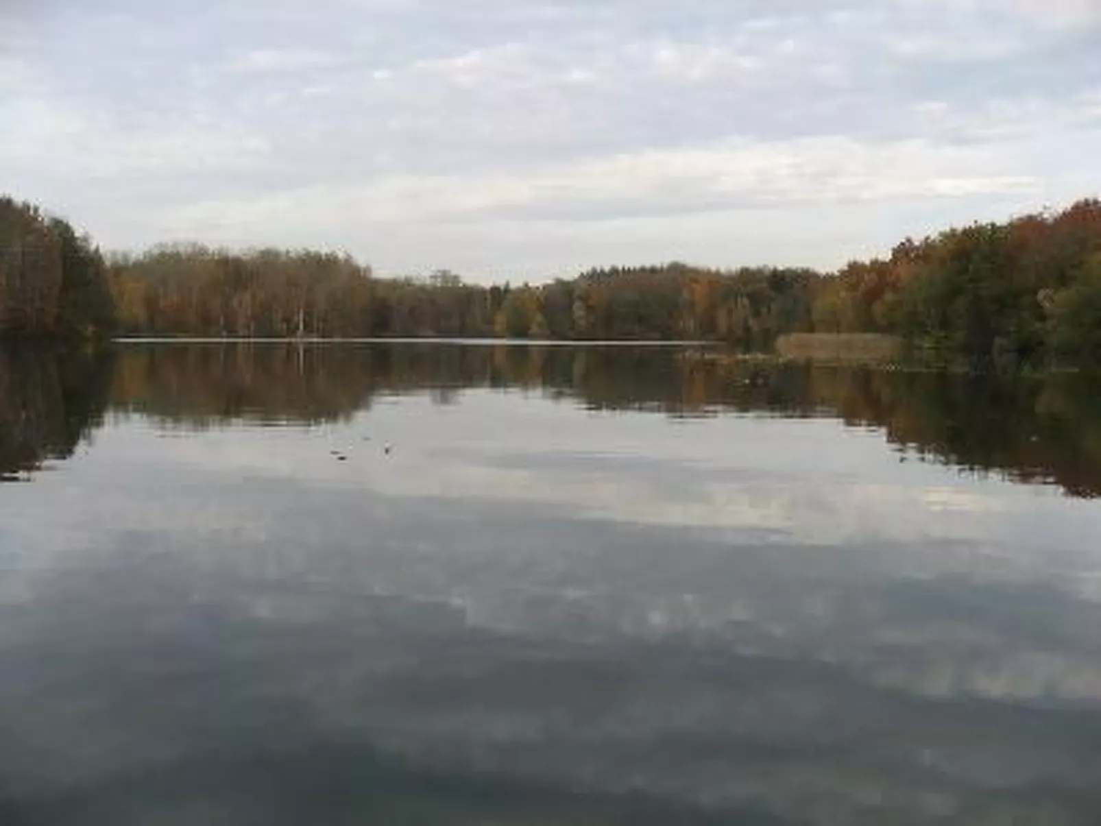 Idyllisches Reetdachhaus mit großem Garten-Drinnen