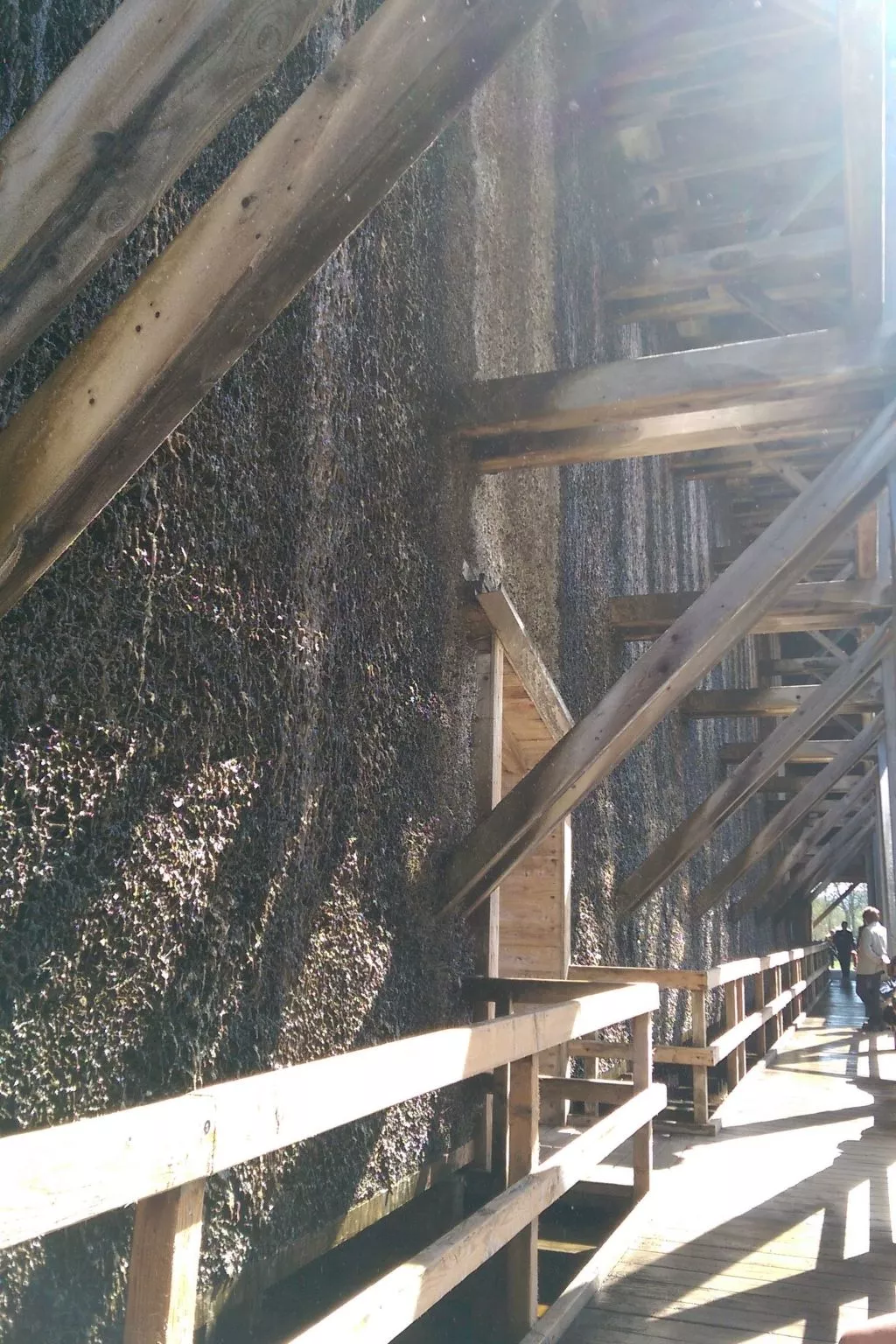 Apartment Gala, ruhige Lage, stadtnah-Outside