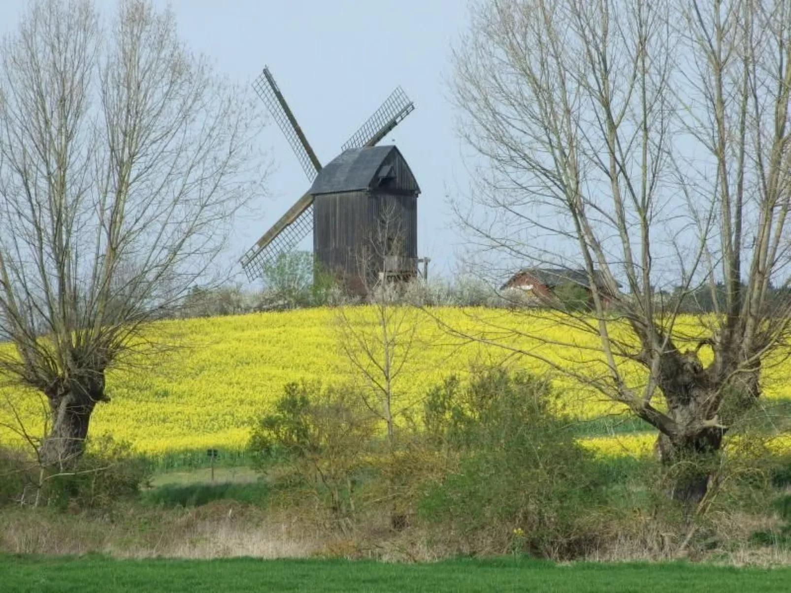 Am Buchenhain in Koserow-Inside