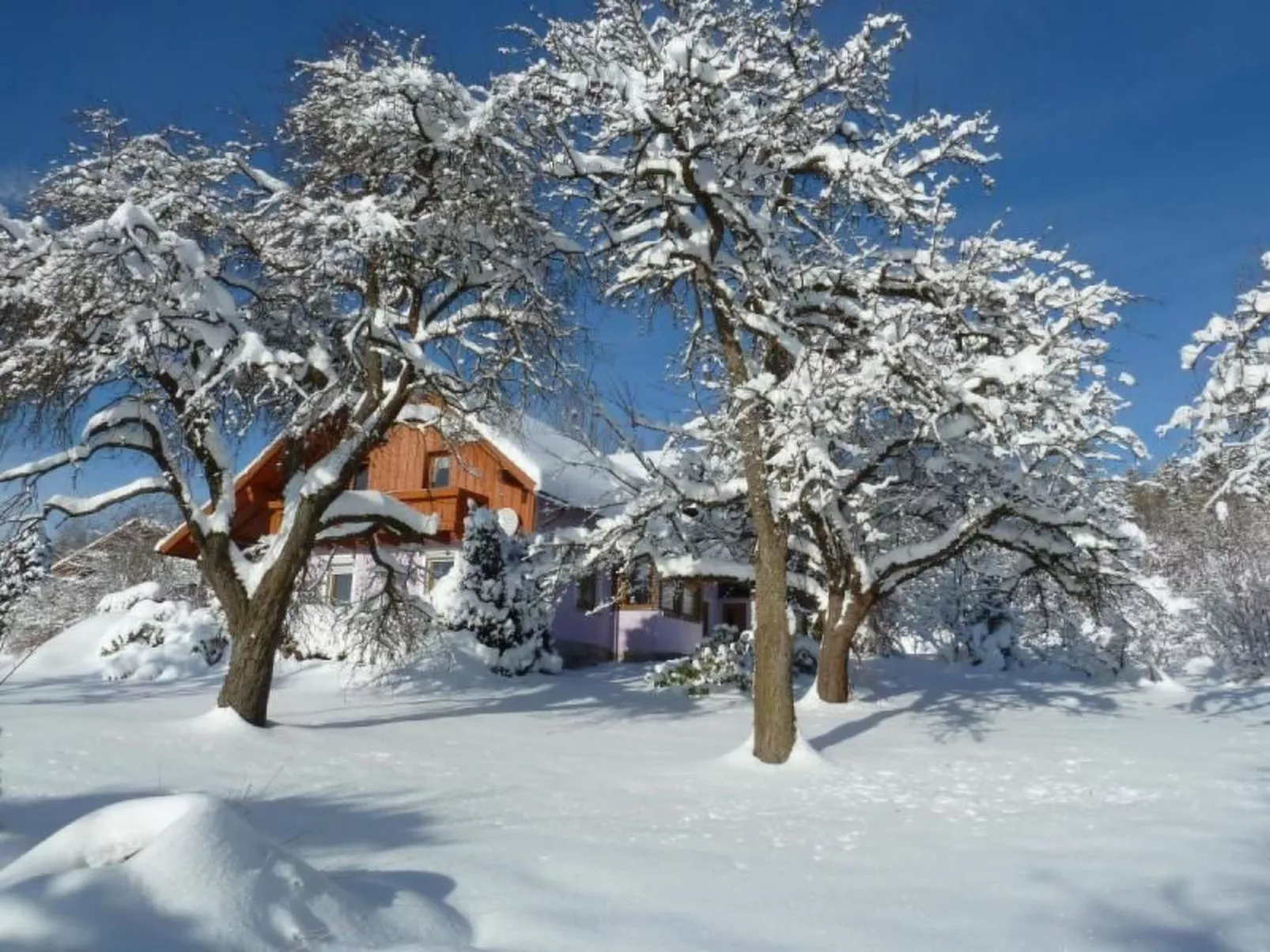 Wildfeuer-Image-tags.info